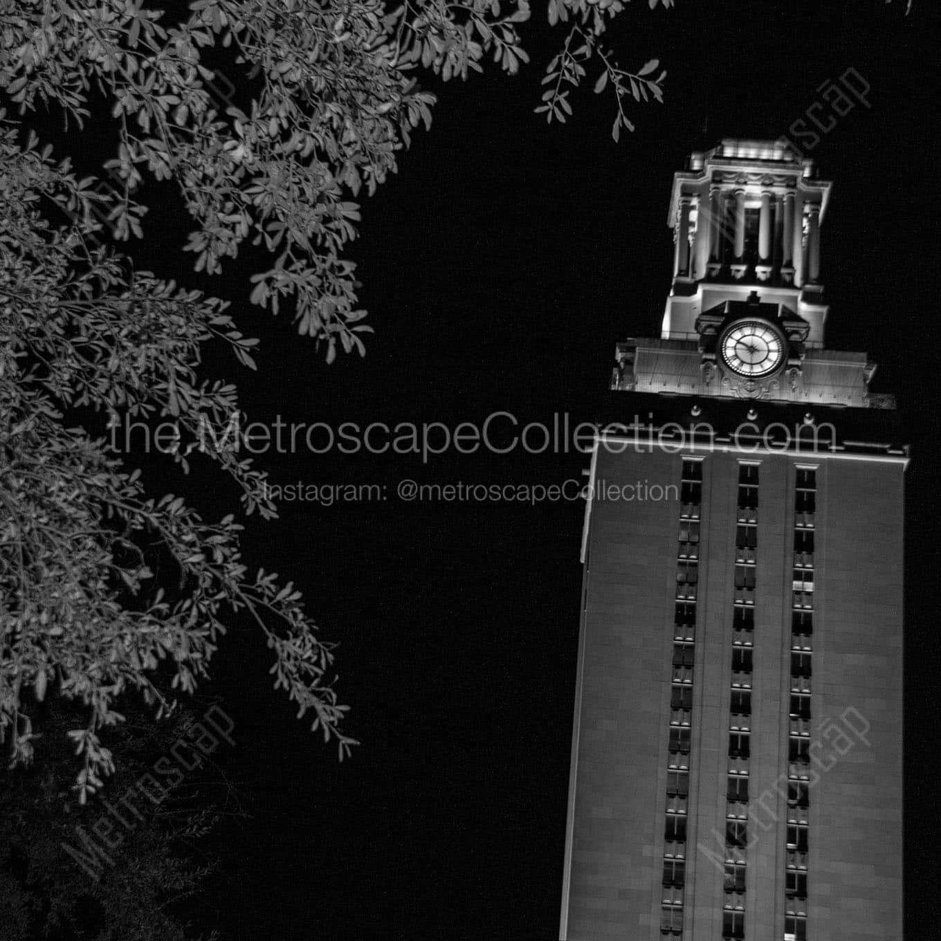 ut tower at night Black & White Wall Art