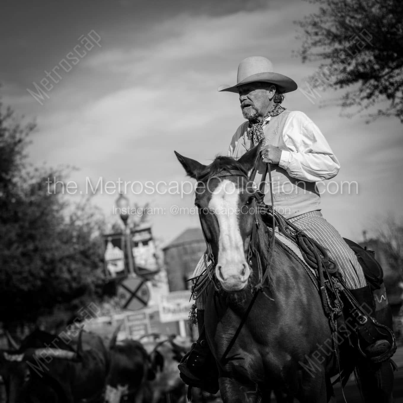 a fort worth tx cowboy Black & White Wall Art