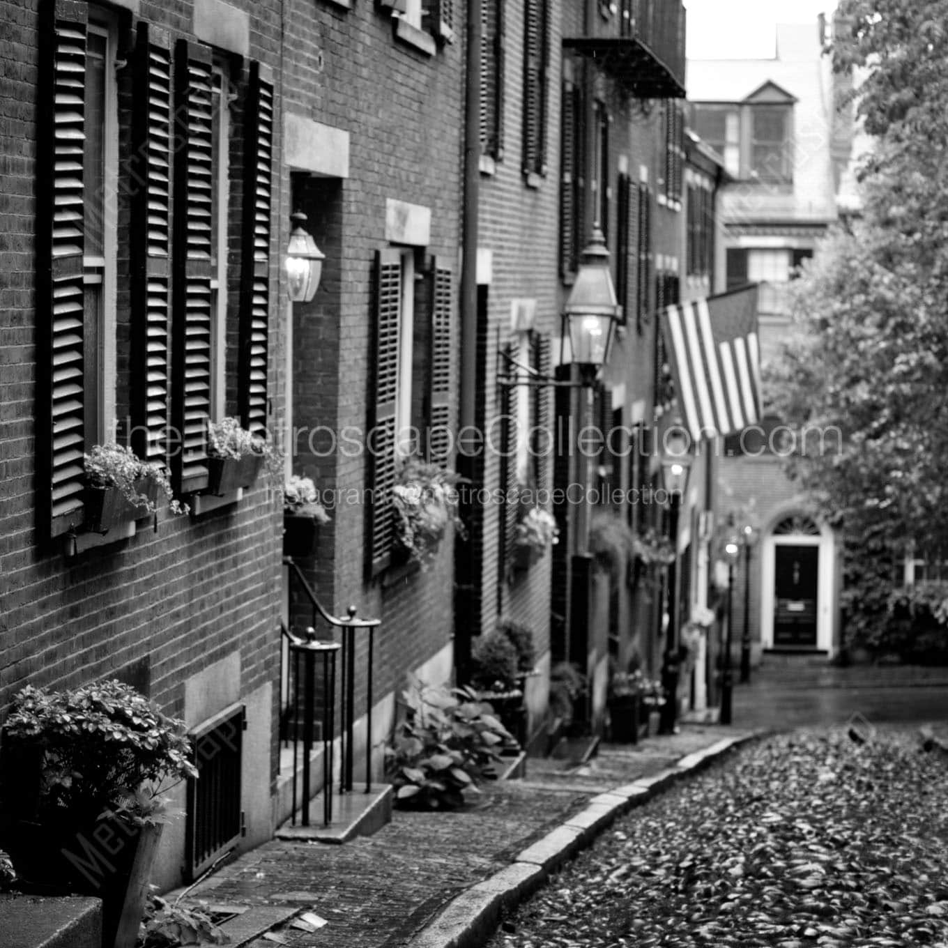 acorn street beacon hill downhill Black & White Wall Art