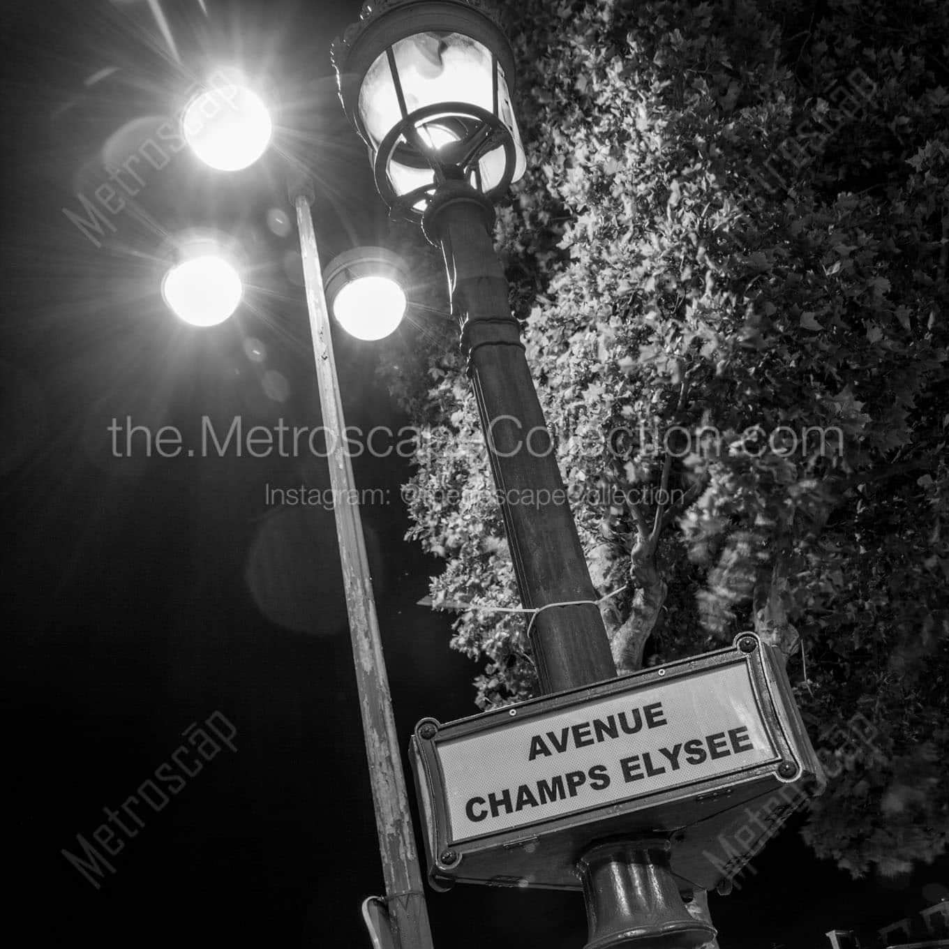avenue champs elysee lamp post Black & White Wall Art