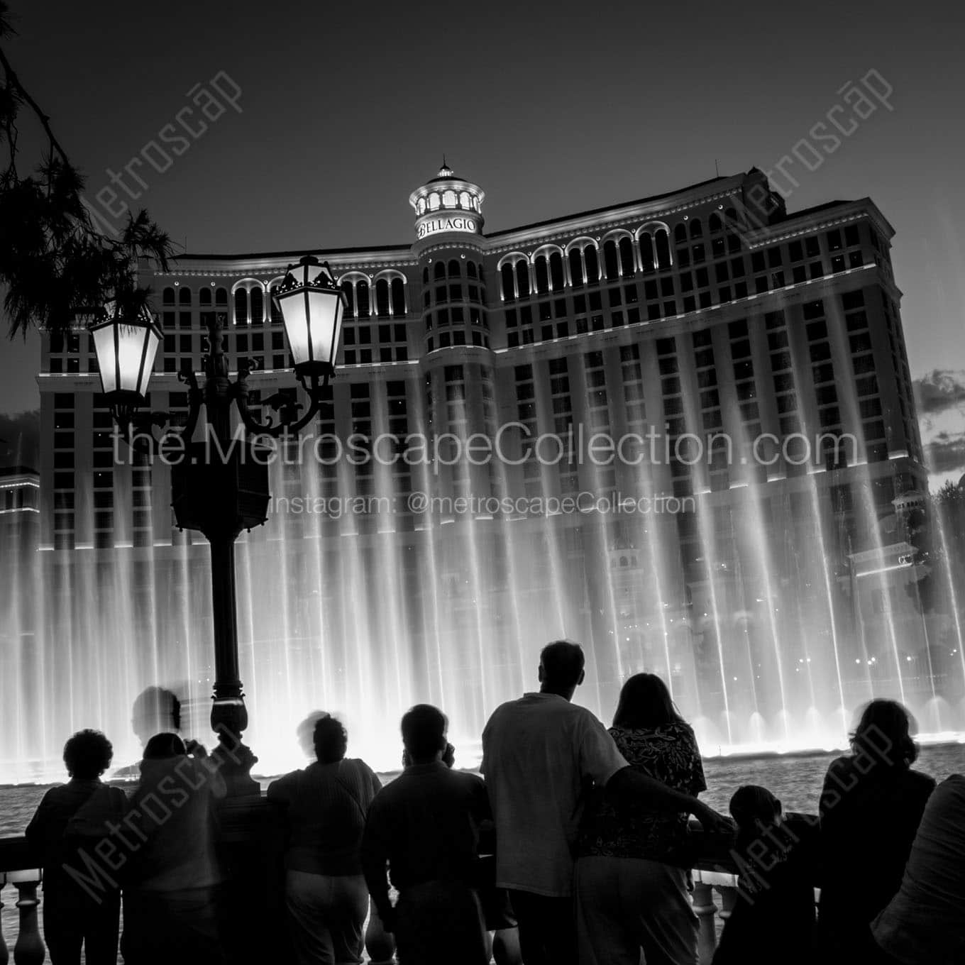 bellagio fountains vegas strip at night Black & White Wall Art