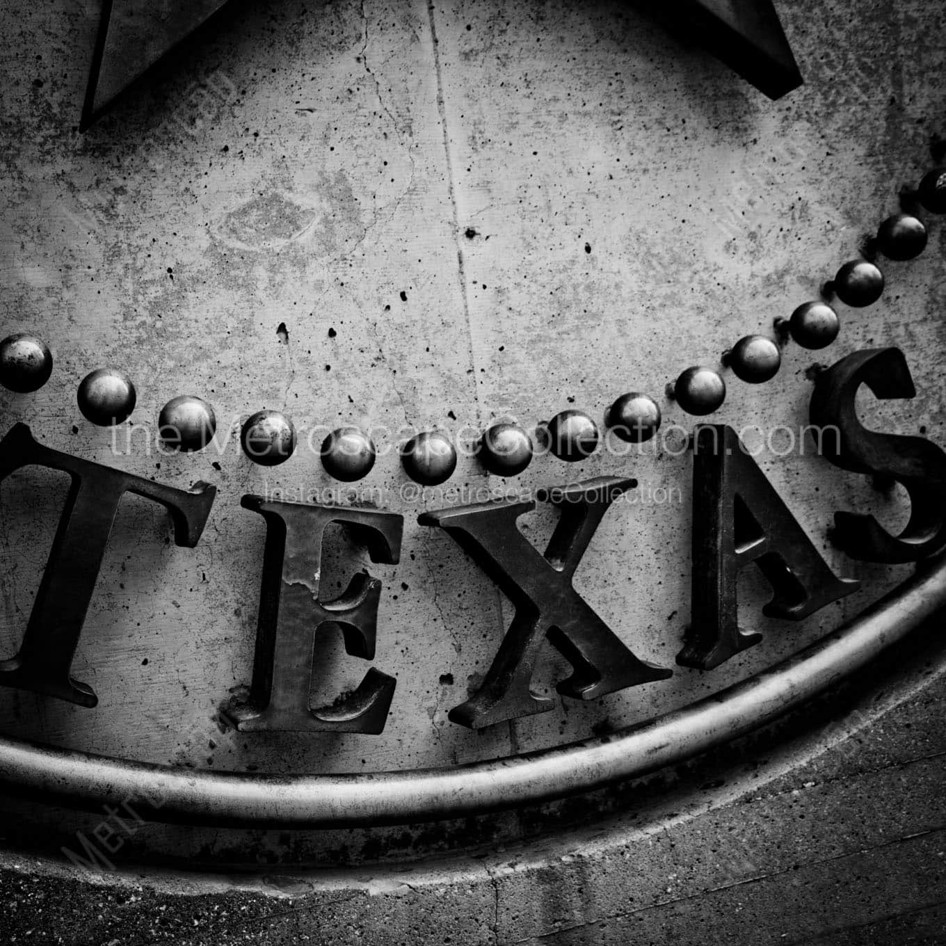 bottom dallas texas seal Black & White Wall Art