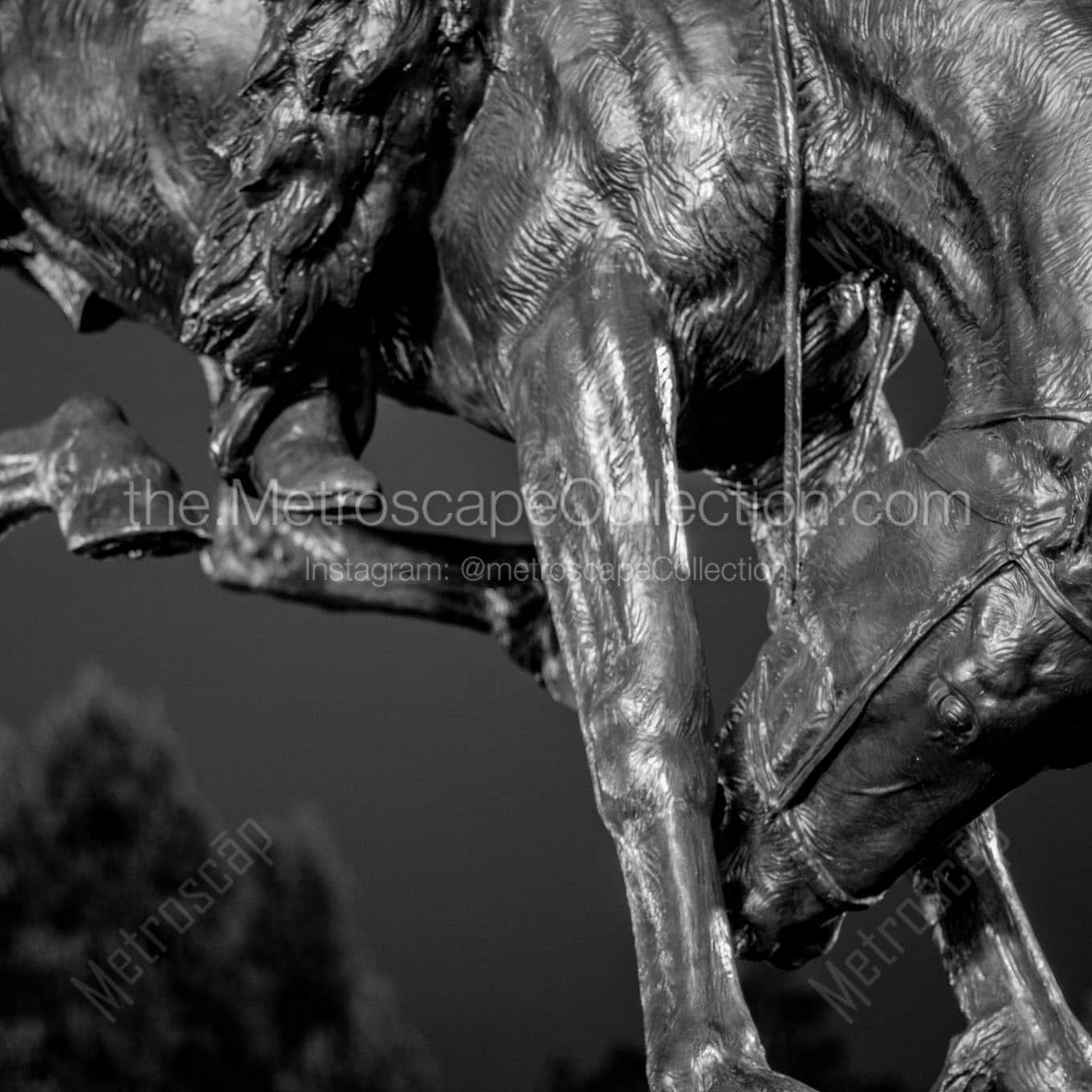 bronze bronco civic center park Black & White Wall Art