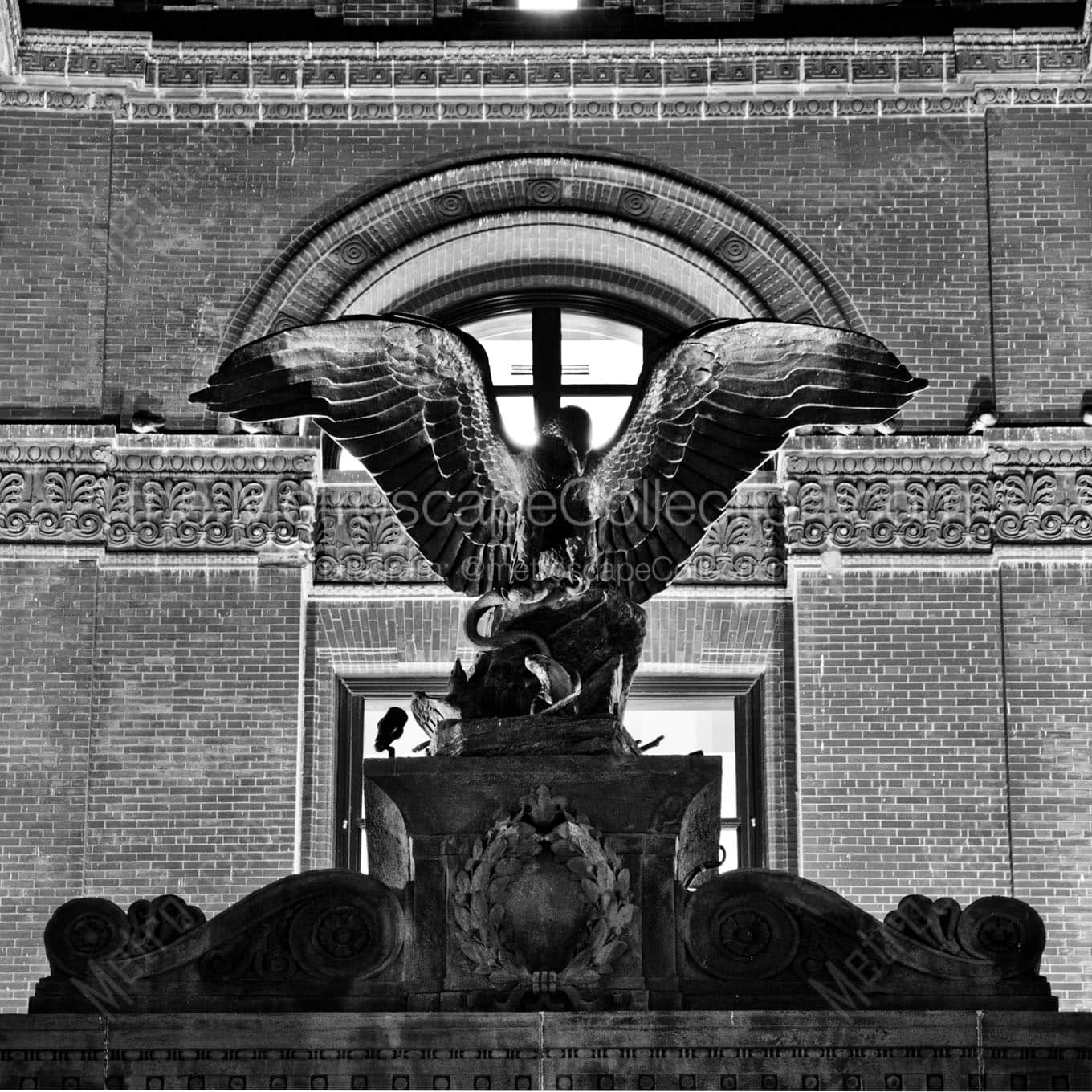 bronze eagle with spread open wings Black & White Wall Art
