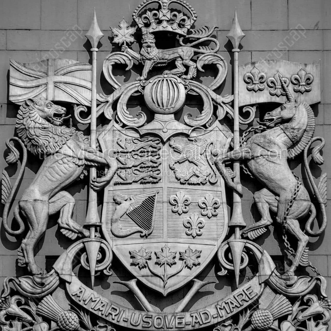 canada coat of arms Black & White Wall Art