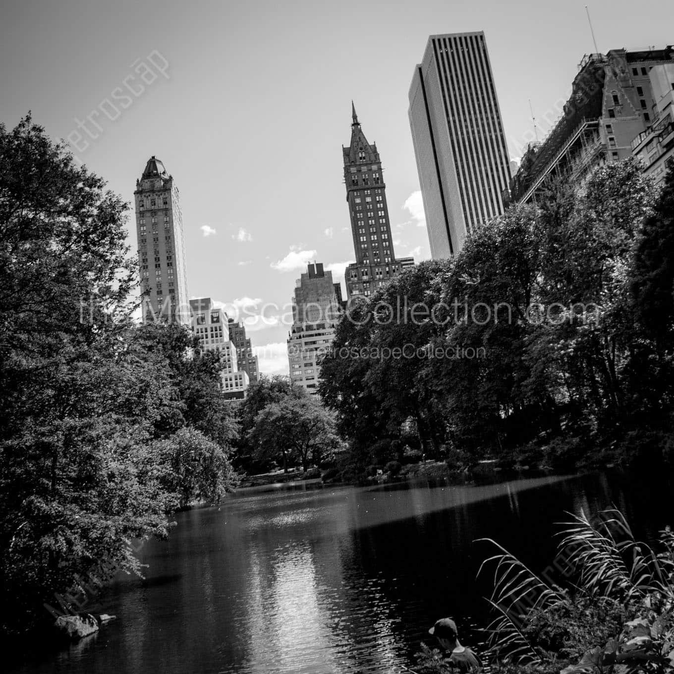 central park pond Black & White Wall Art