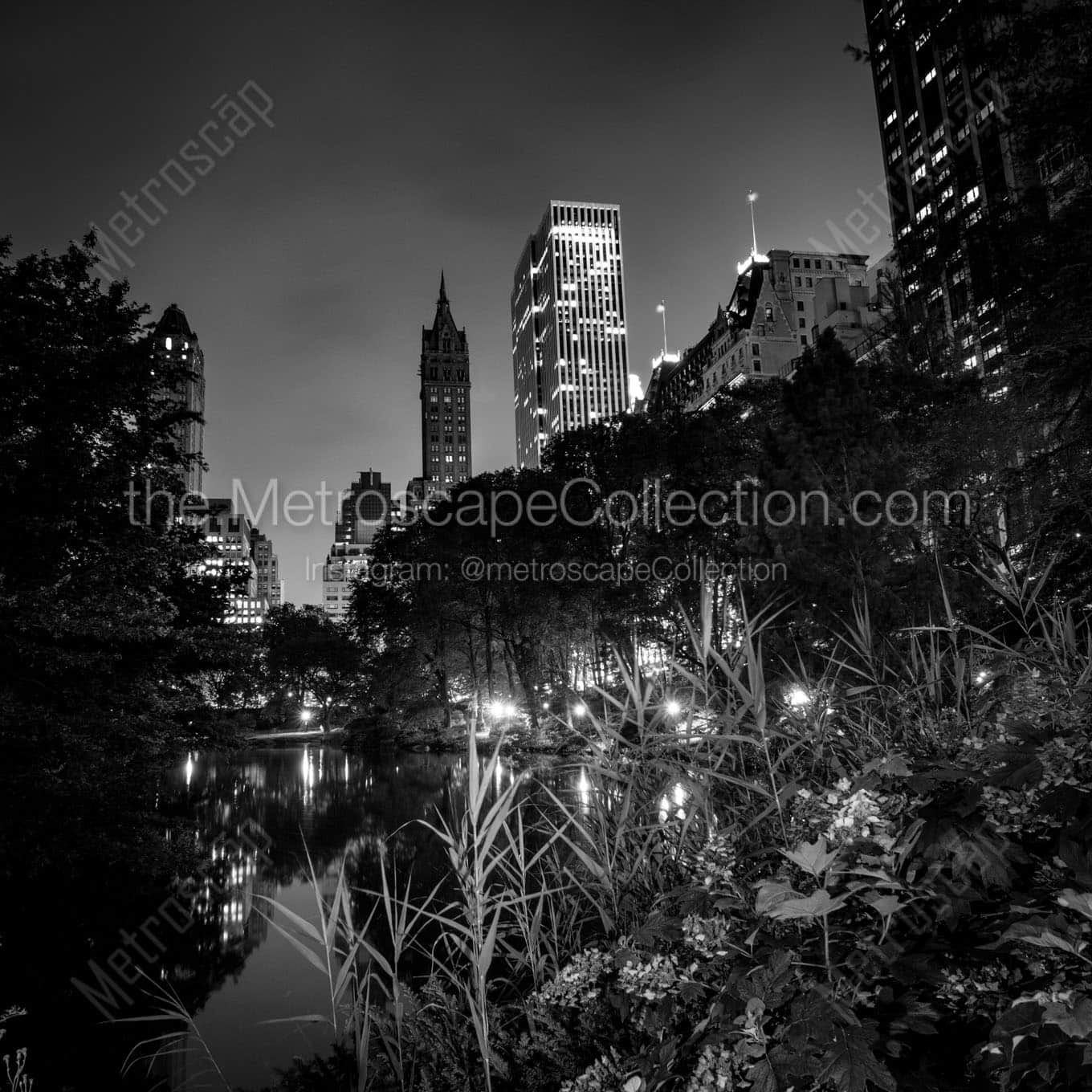 central park pond at night Black & White Wall Art