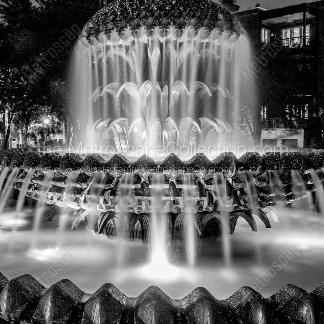 charleston sc pineapple fountain at night Black & White Wall Art