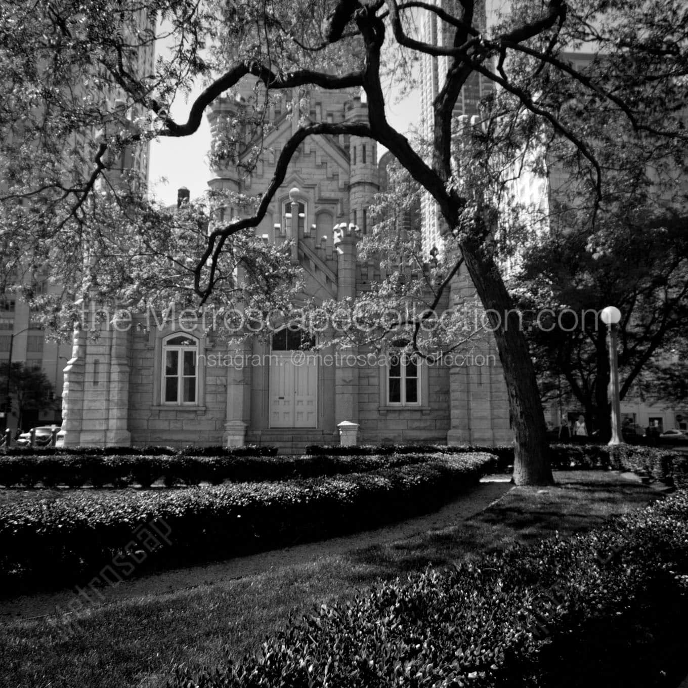 chicago water tower spring time Black & White Wall Art