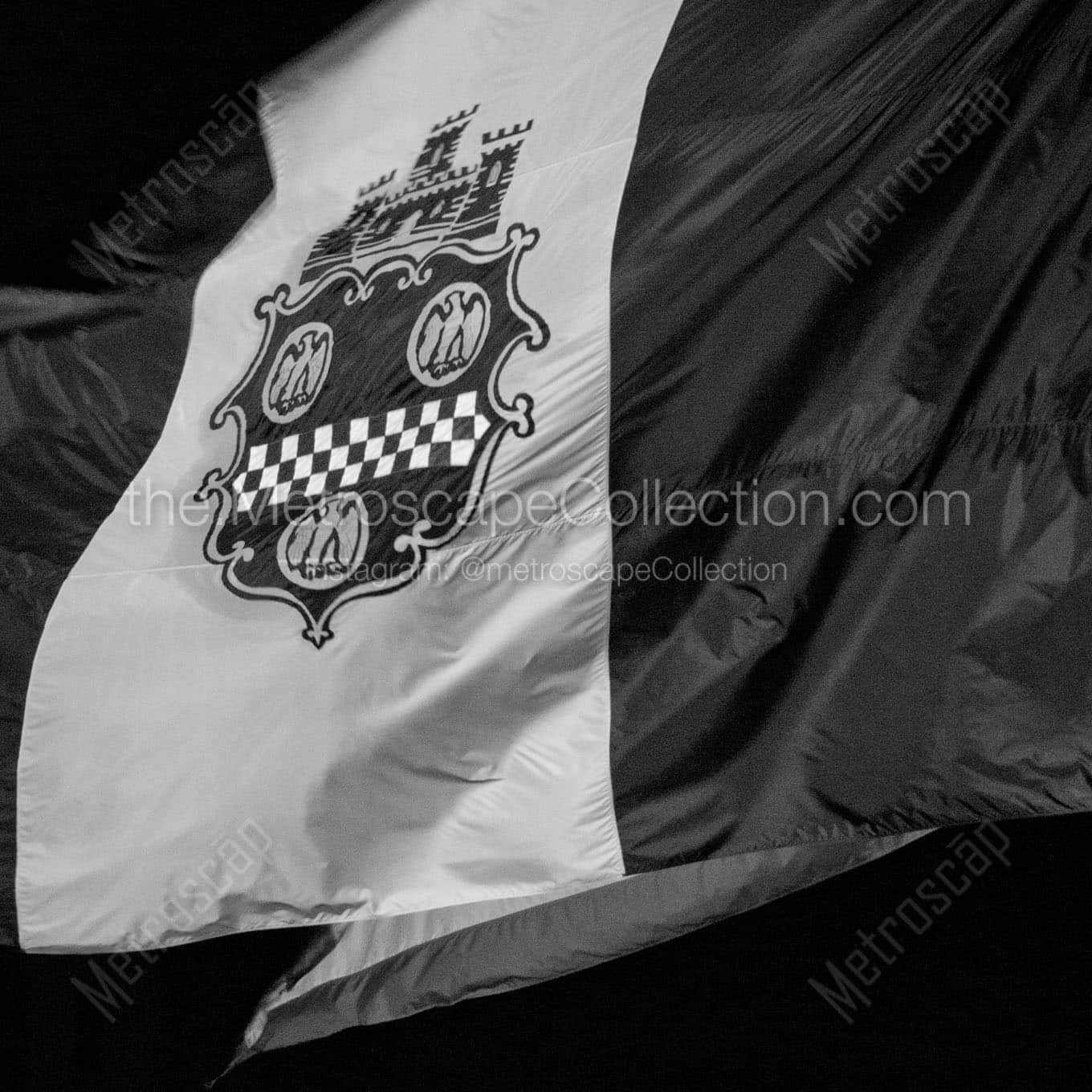 city of pittsburgh flag Black & White Wall Art