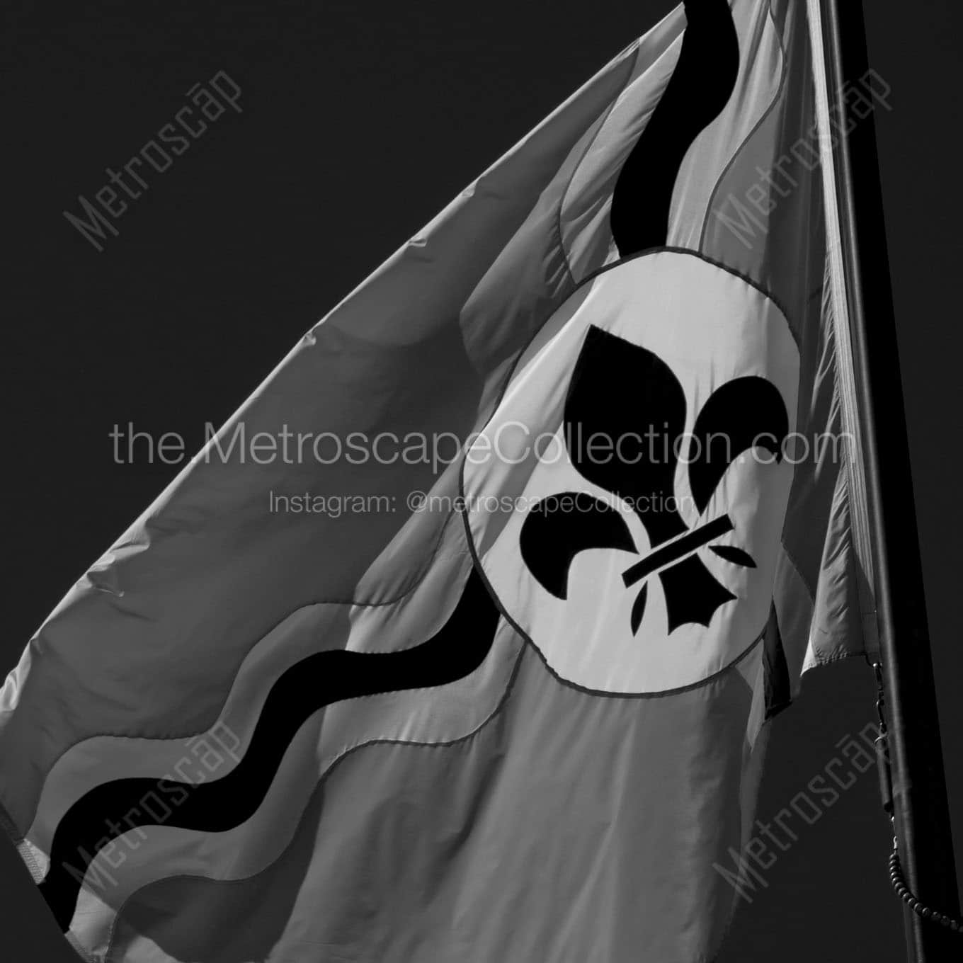 city of st louis flag Black & White Wall Art