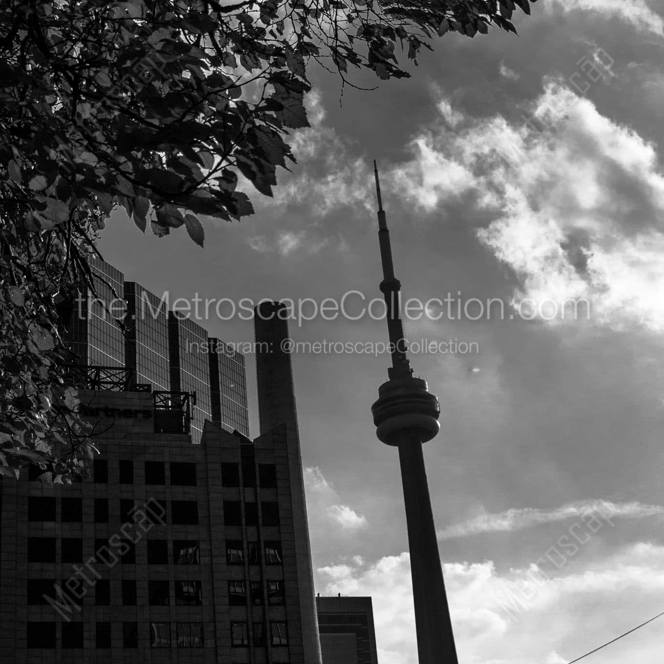 cn tower university avenue Black & White Wall Art