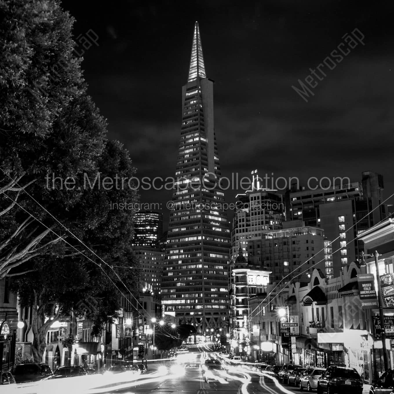 columbus drive night transamerica tower Black & White Wall Art