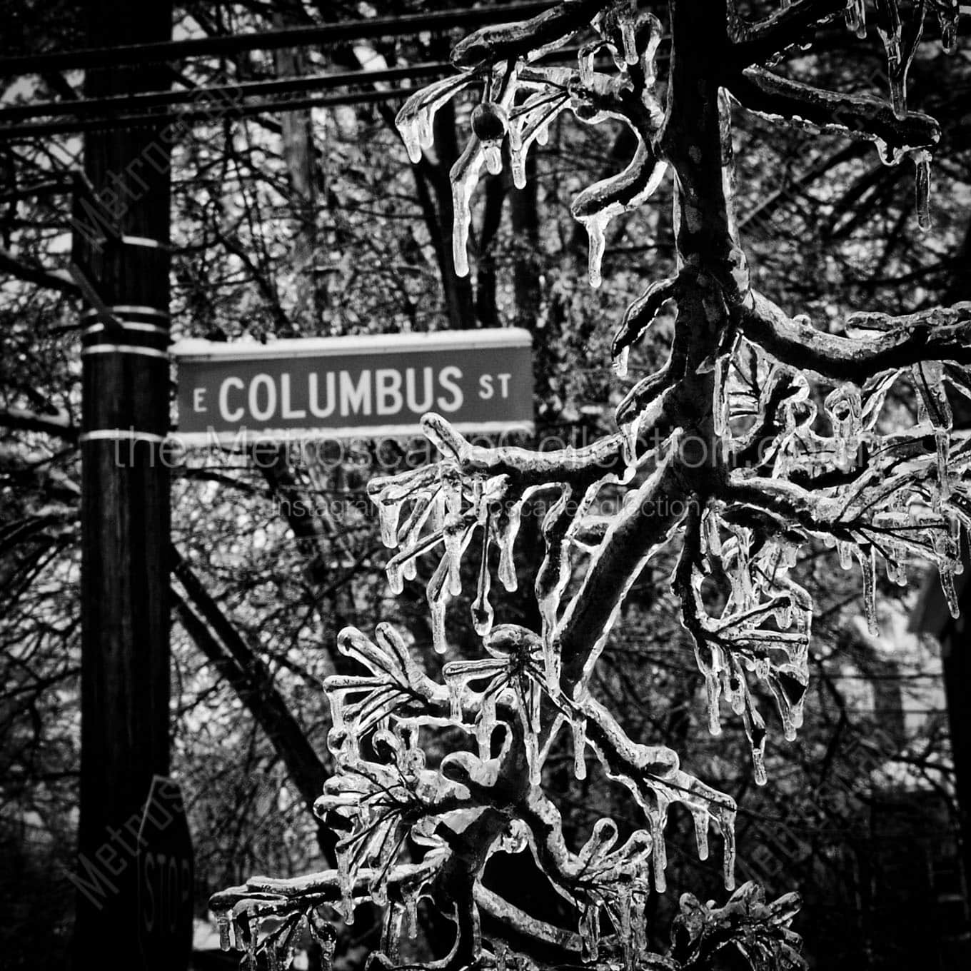 columbus street german village Black & White Wall Art
