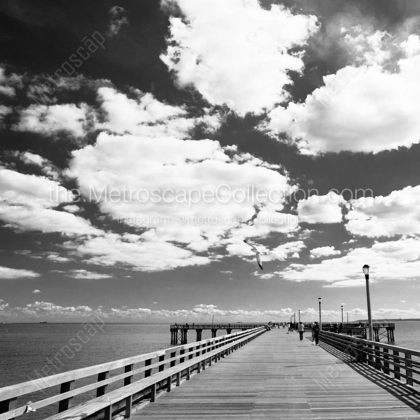 coney island pier Black & White Wall Art