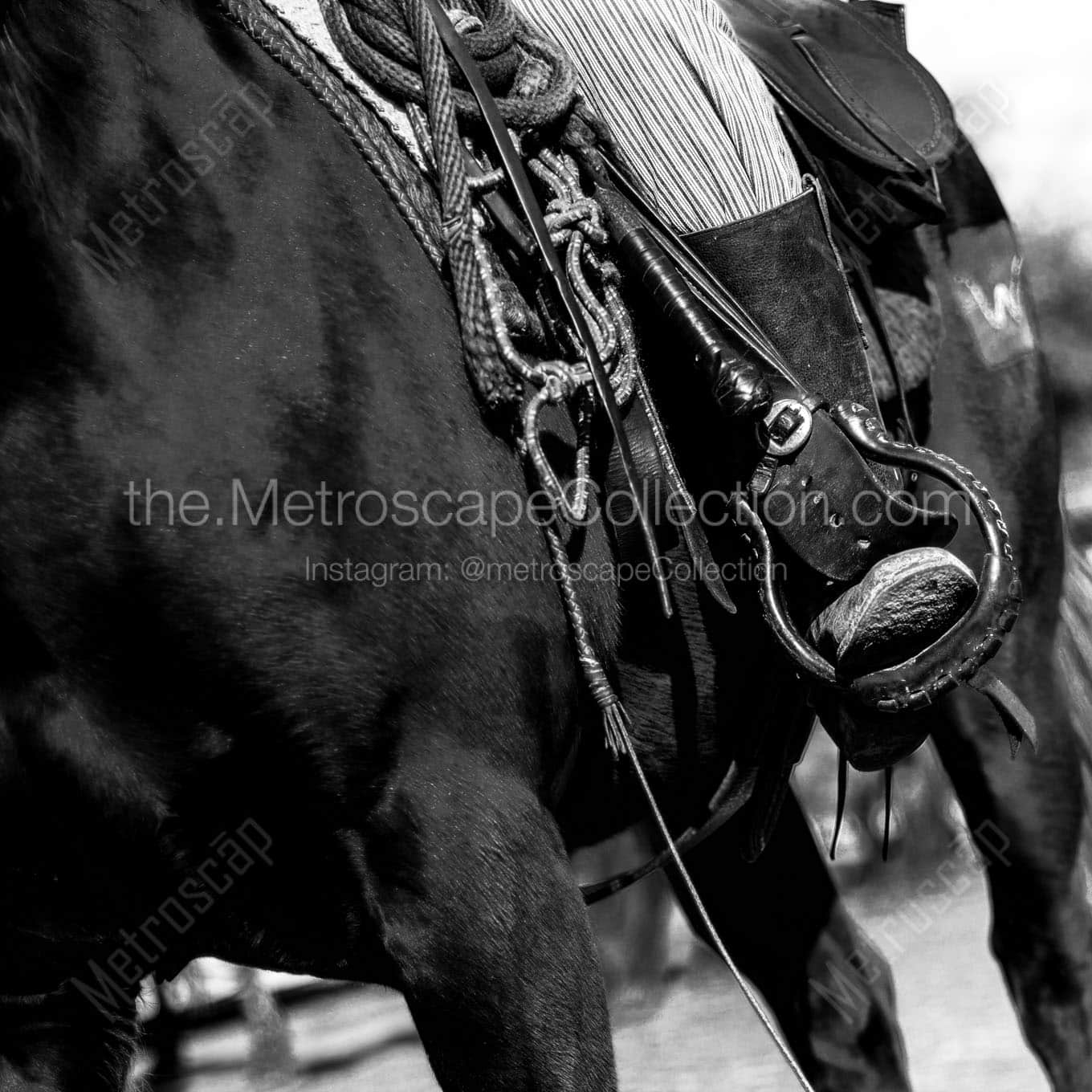 cowboy horse tackle Black & White Wall Art