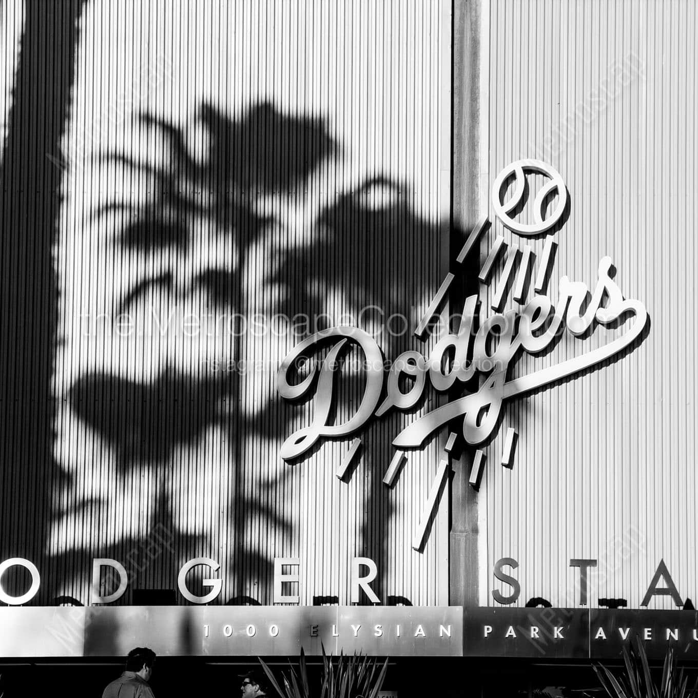 dodger stadium elysian park Black & White Wall Art