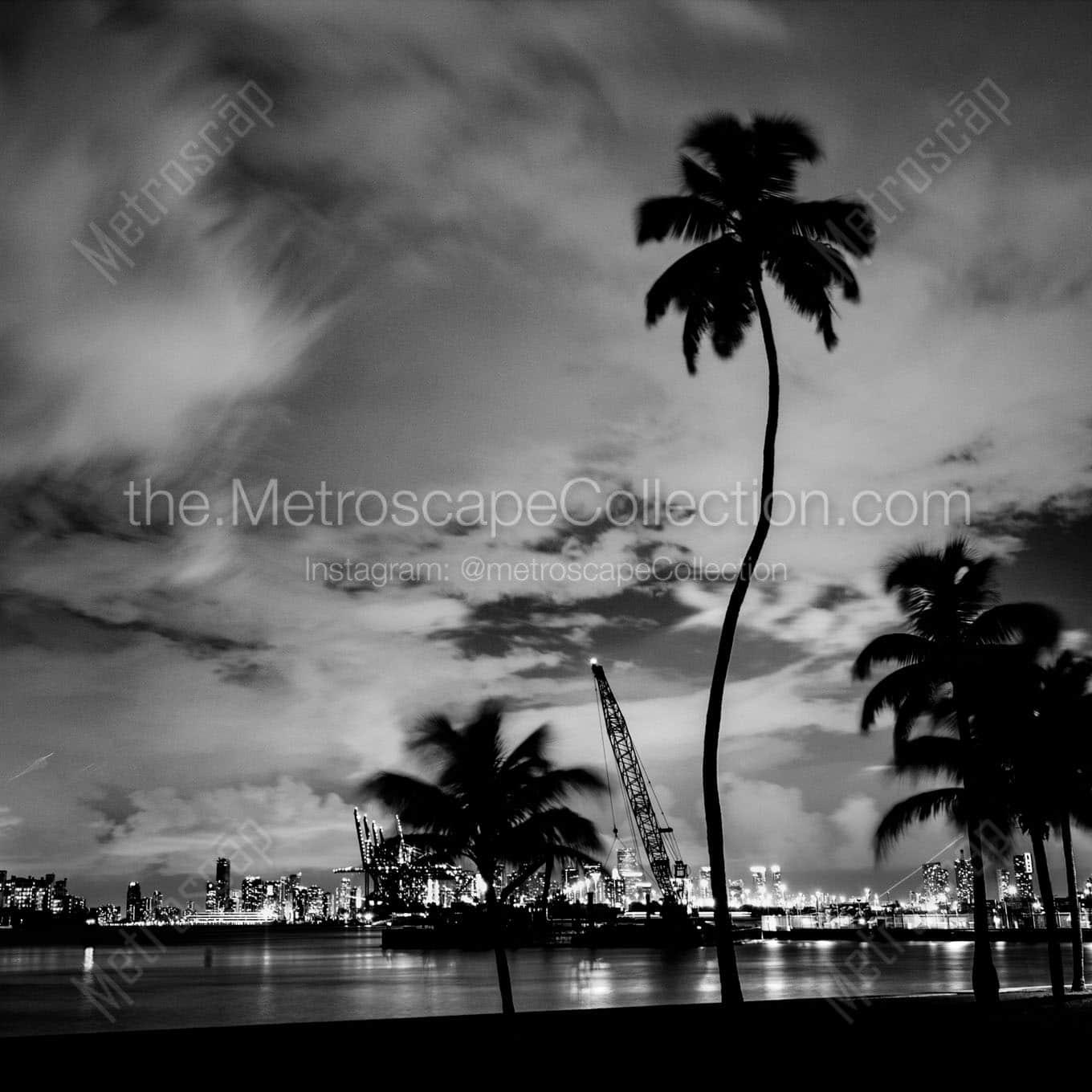 downtown miami at night Black & White Wall Art