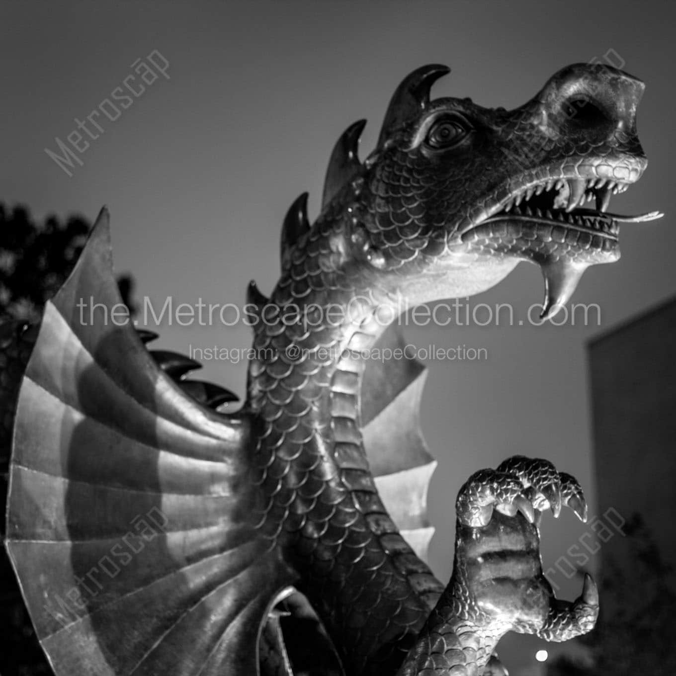 drexel dragon Black & White Wall Art