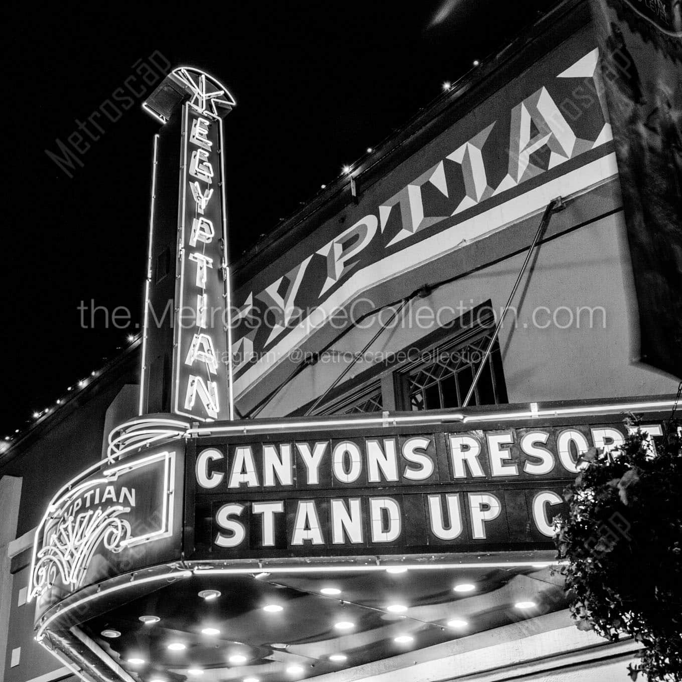 egyptian theater at night Black & White Wall Art