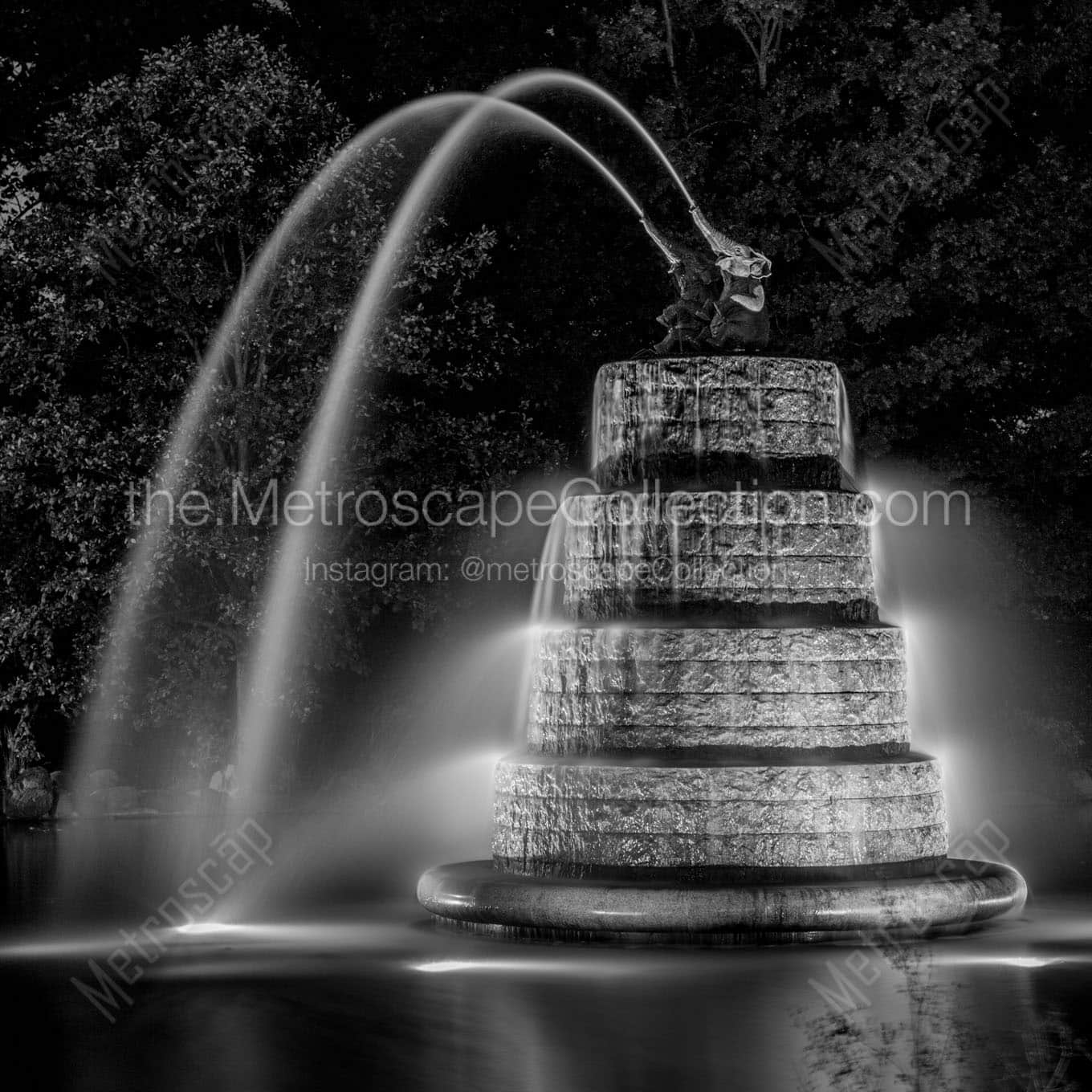 elephant fountain goodale park Black & White Wall Art