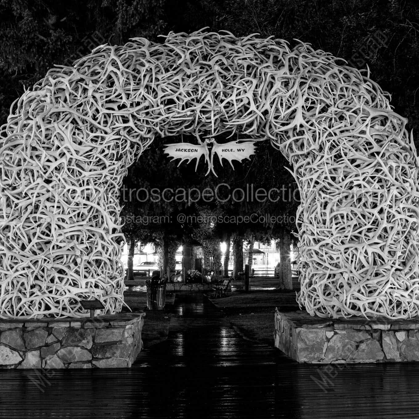 elk antler arch at night Black & White Wall Art