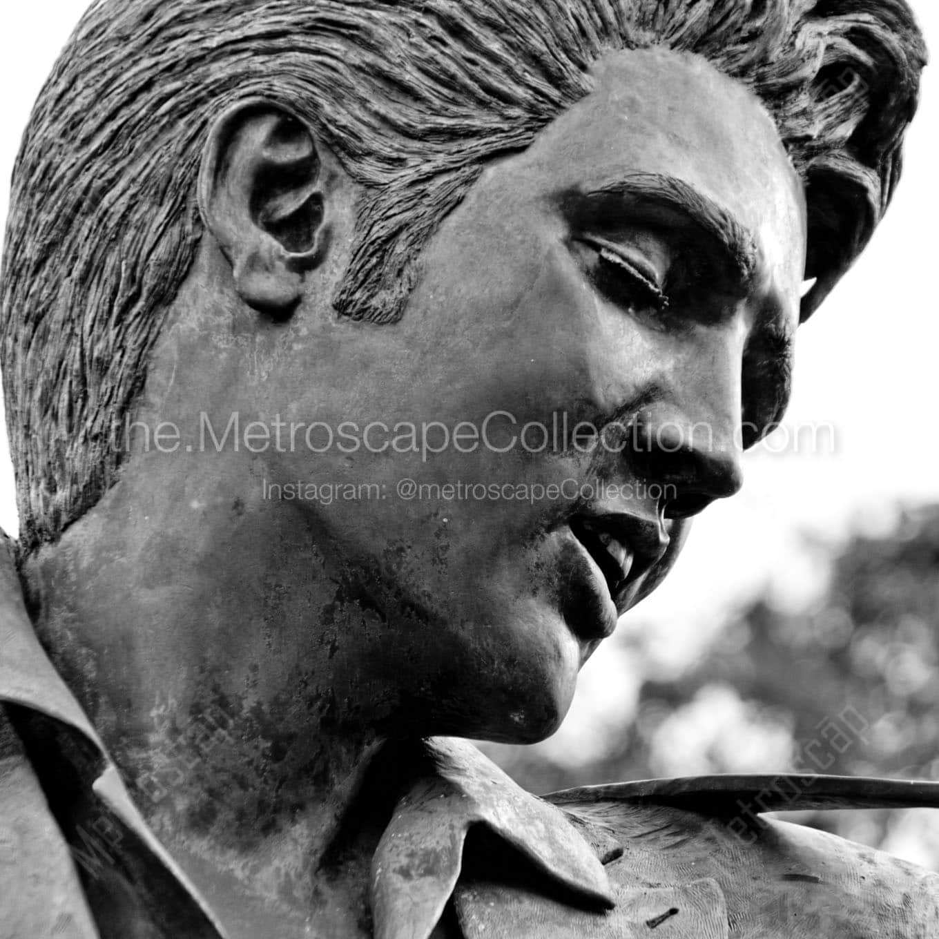 elvis presley statue Black & White Wall Art