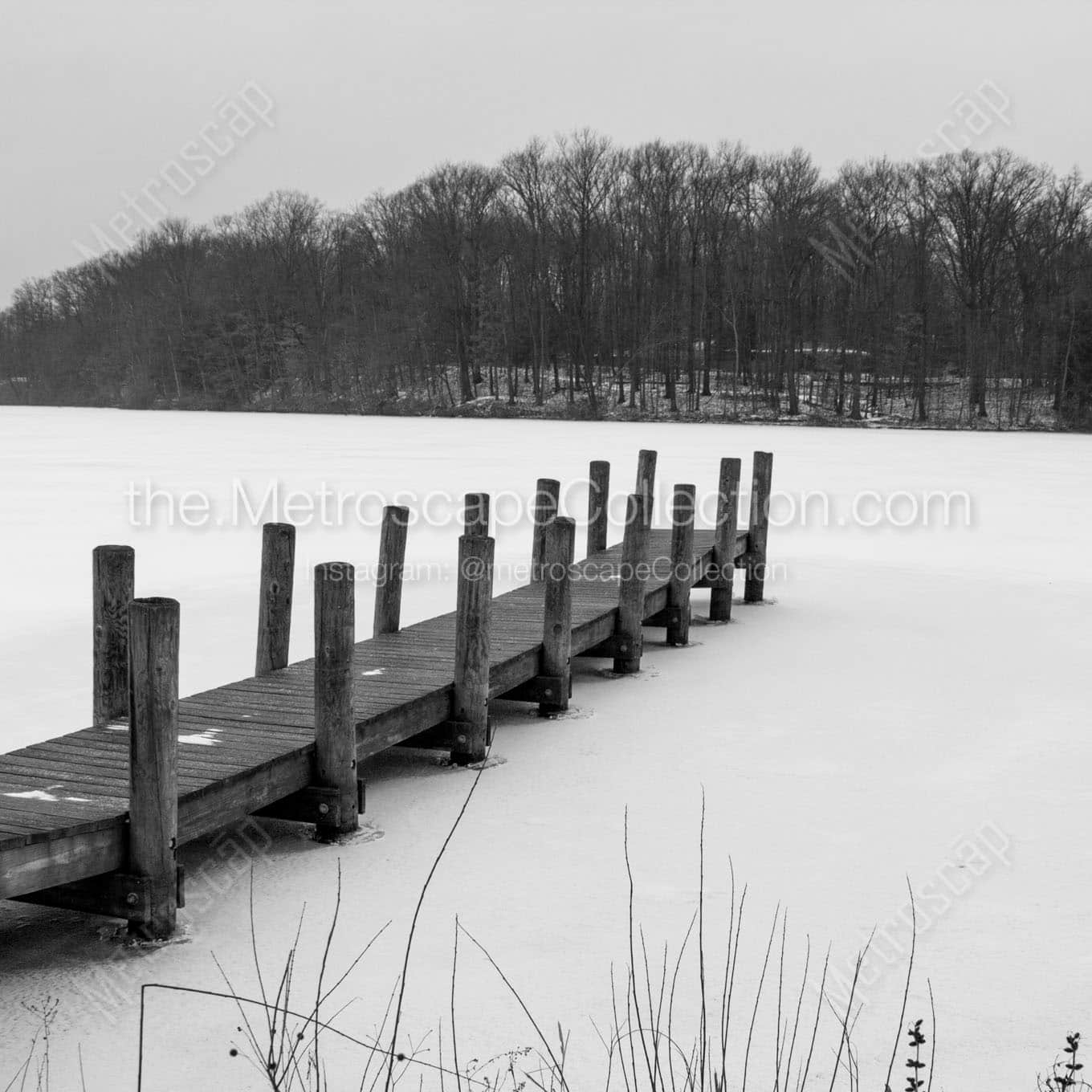 frozen over newport lake in mill creek park Black & White Wall Art