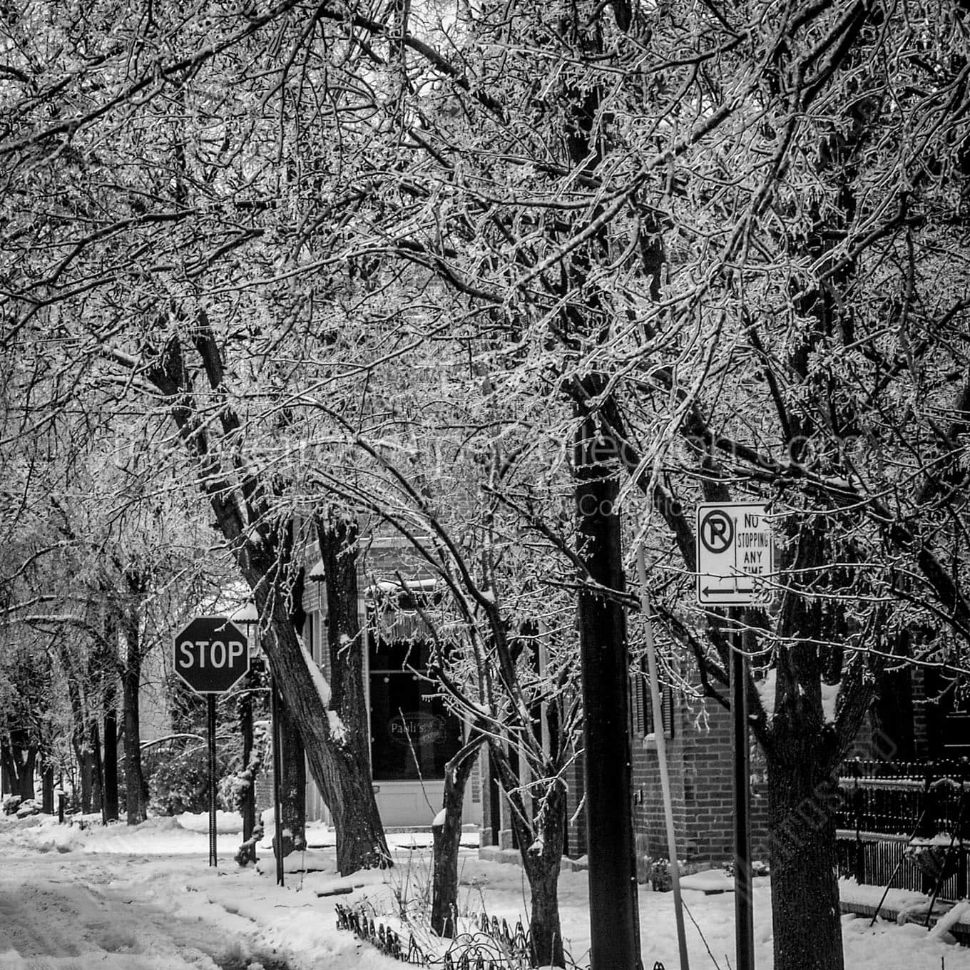 german village ice storm trees Black & White Wall Art