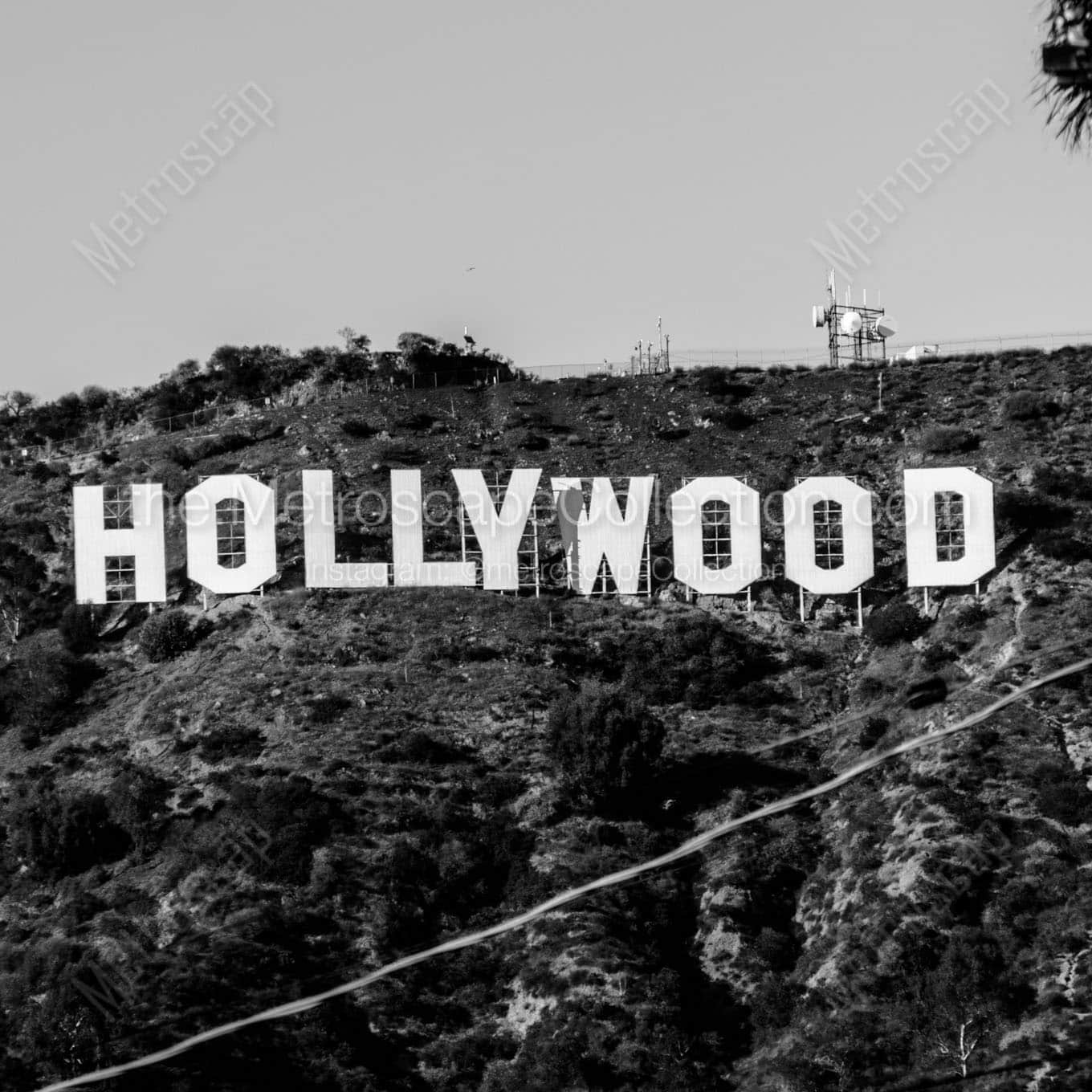 hollywood sign Black & White Wall Art