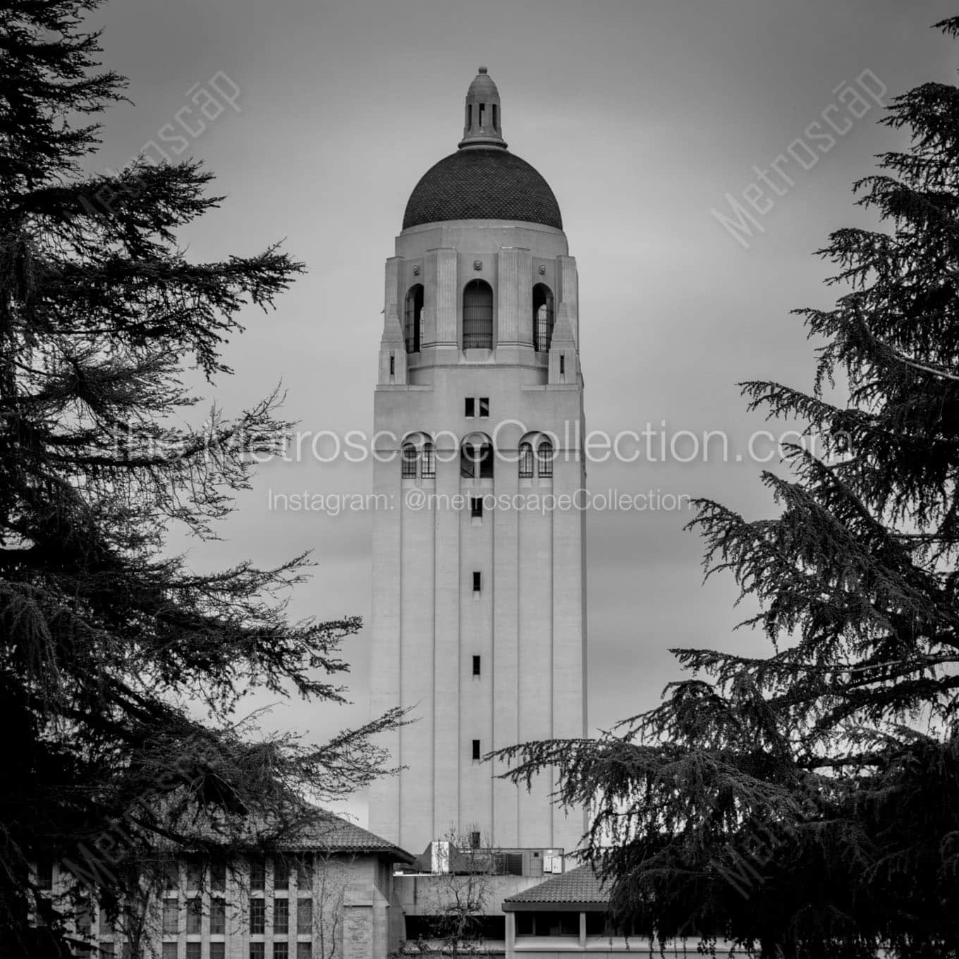 hoover tower stanford campus Black & White Wall Art