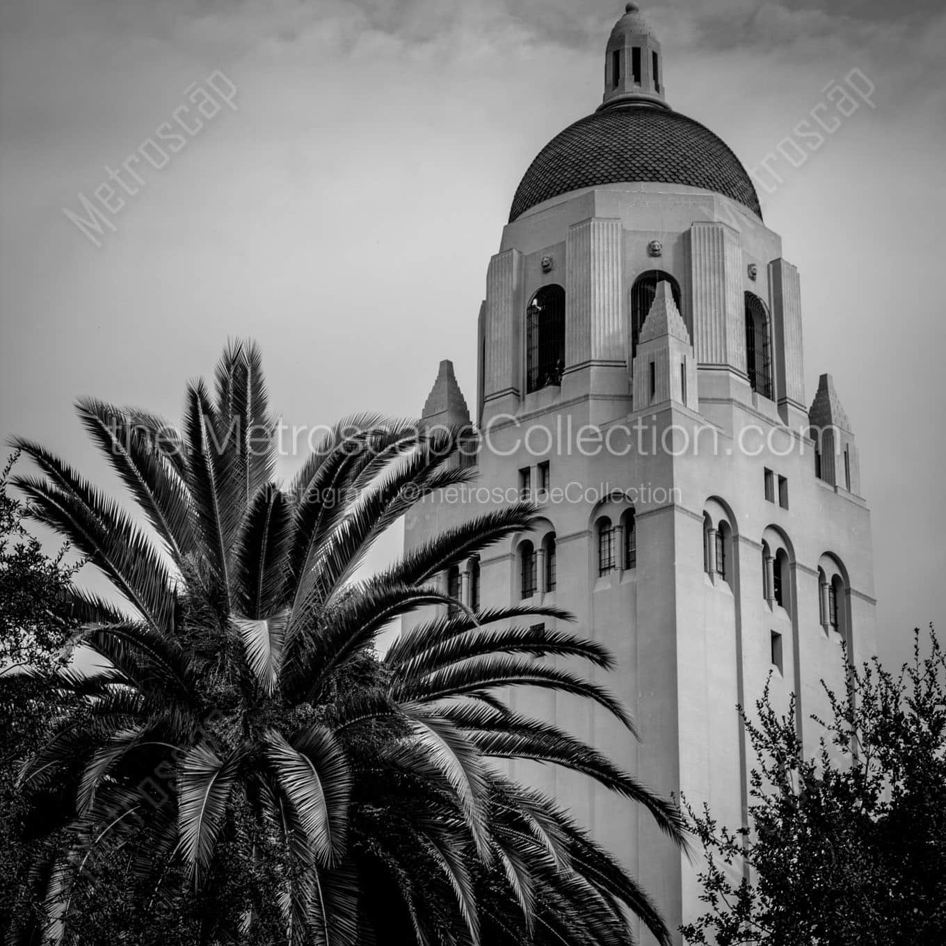 hoover tower stanford university campus Black & White Wall Art