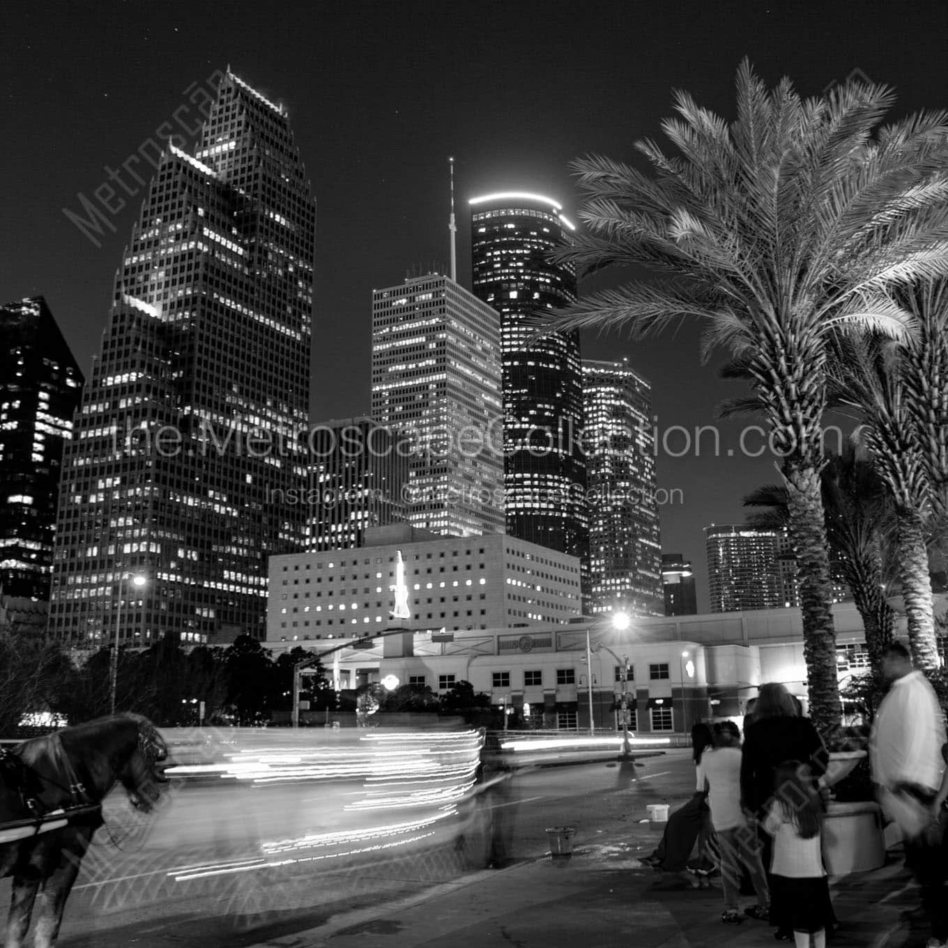 horse carriage downtown houston skyline Black & White Wall Art