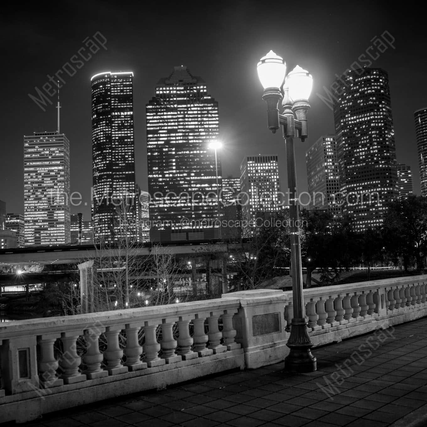 houston city scape at night Black & White Wall Art