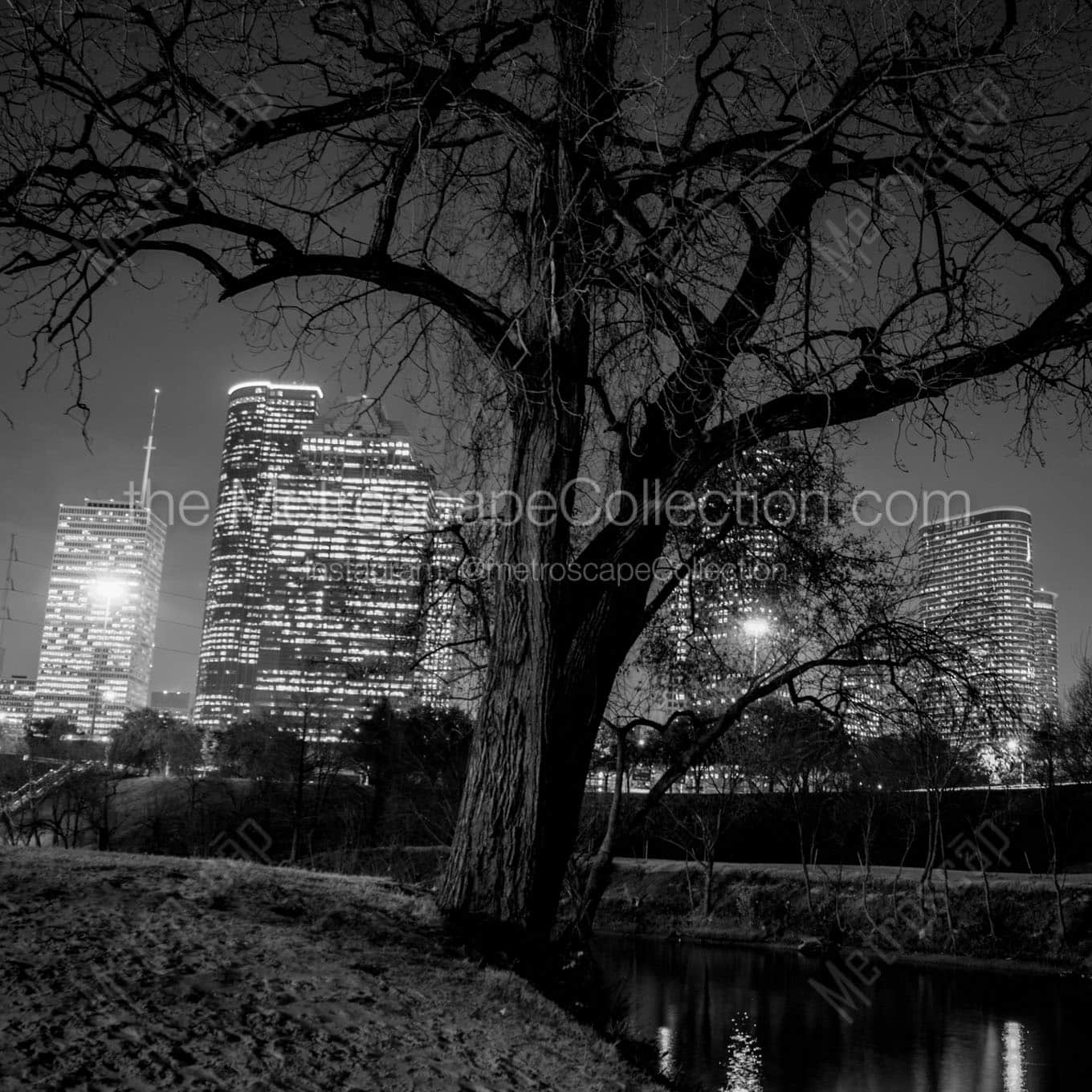 houston skyline in buffalo bayou Black & White Wall Art