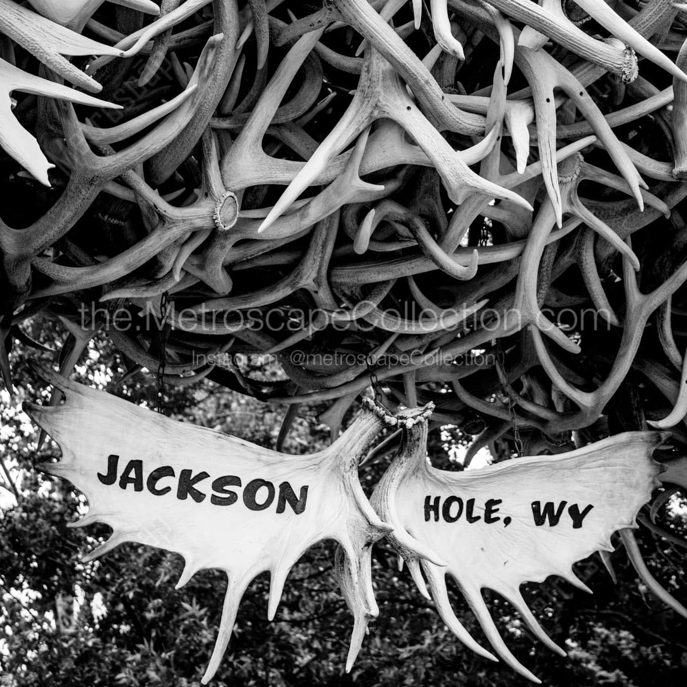 jackson hole antler arch Black & White Wall Art
