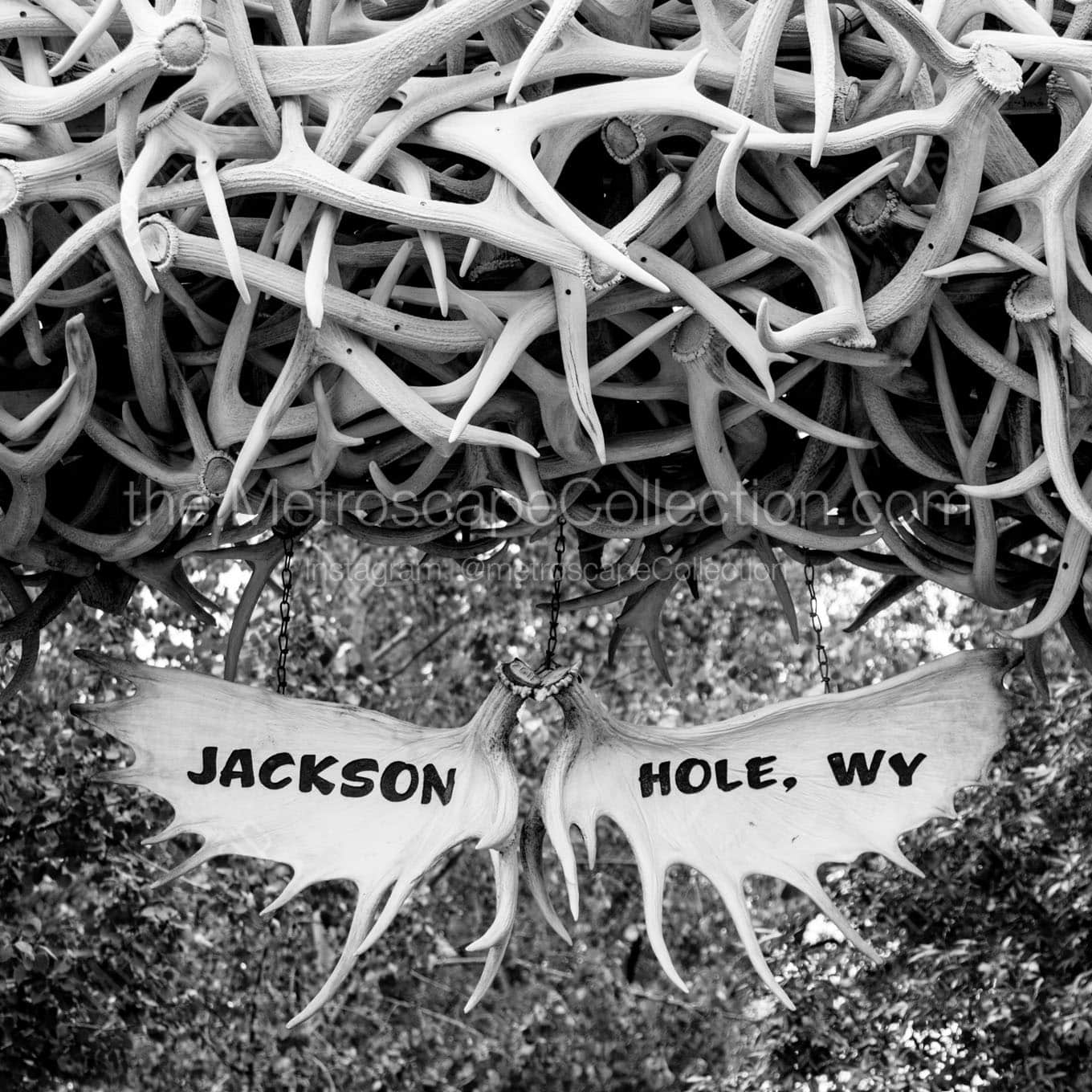 jackson hole wyoming antler arch Black & White Wall Art
