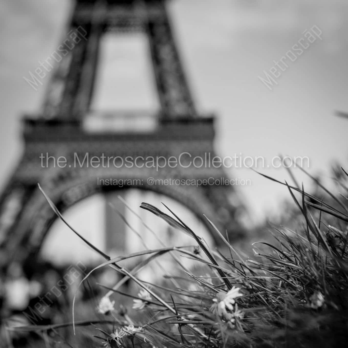 jardins du trocadero and le tour eiffel Black & White Wall Art