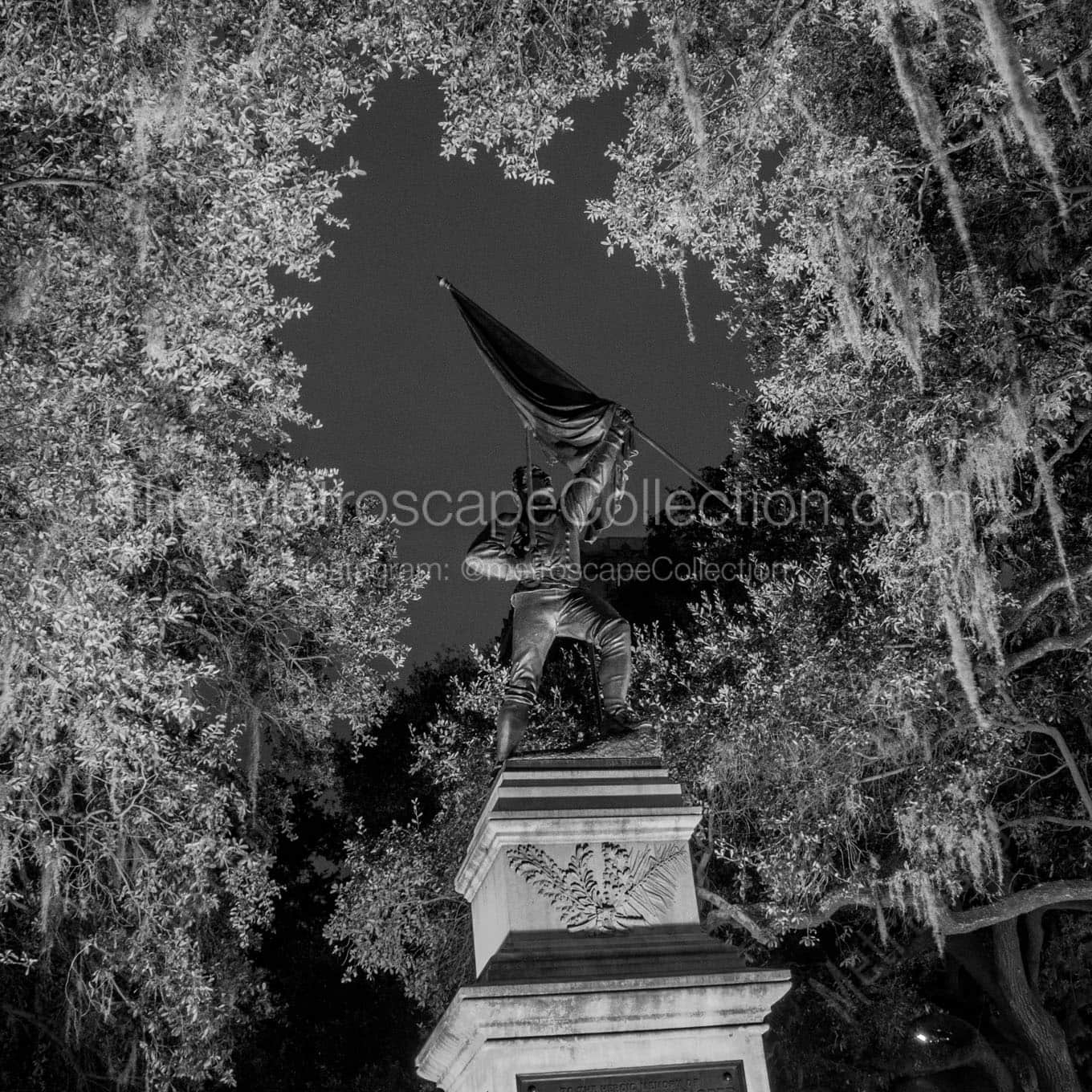 jasper monument madison square Black & White Wall Art