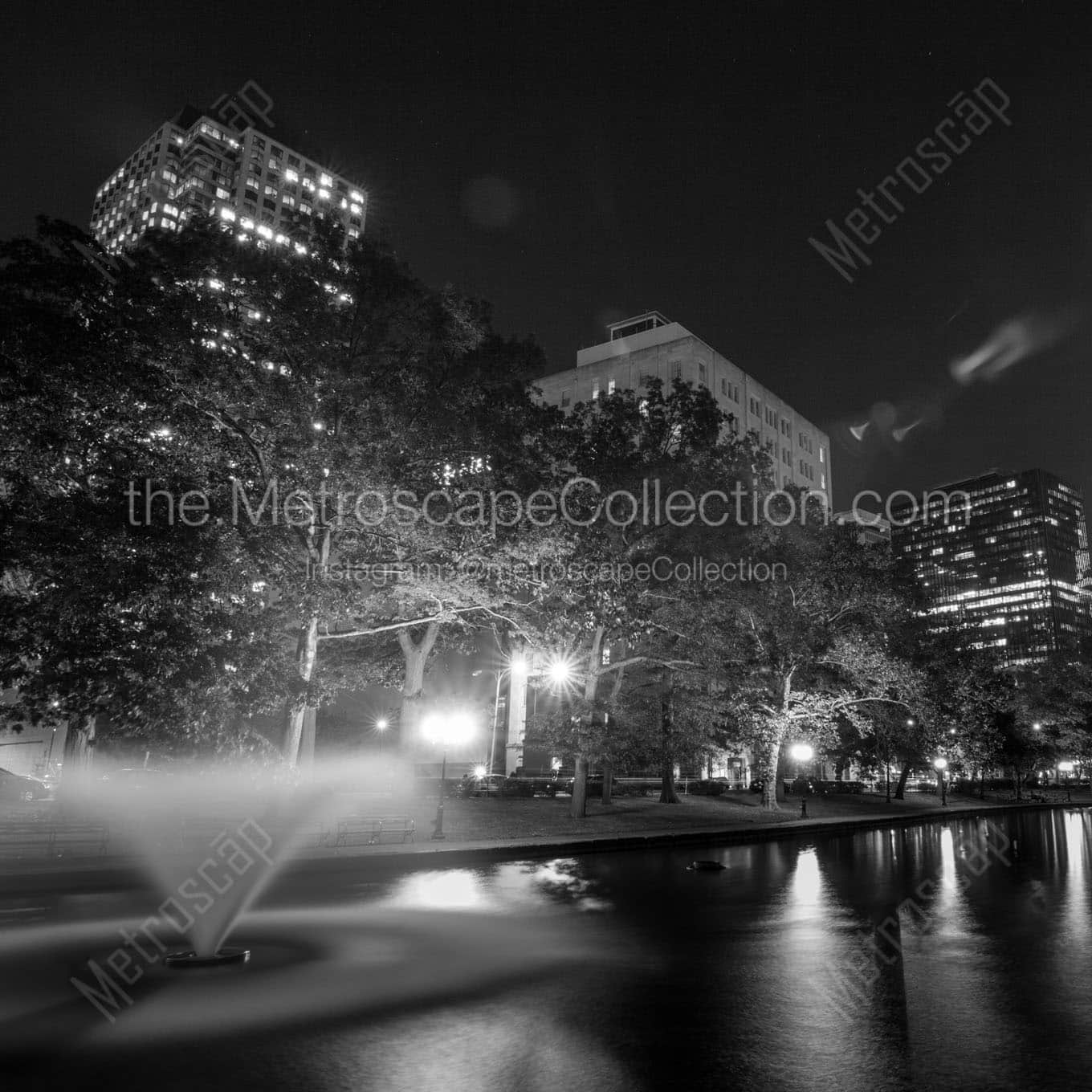 lily pond bushnell park Black & White Wall Art