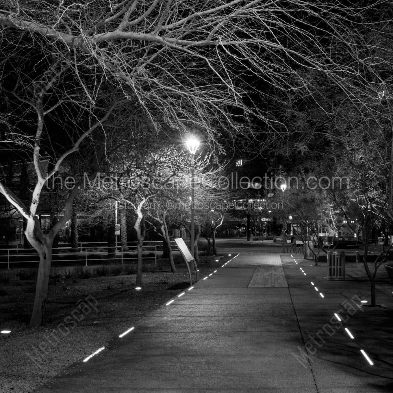 lit path near phoenix central station Black & White Wall Art