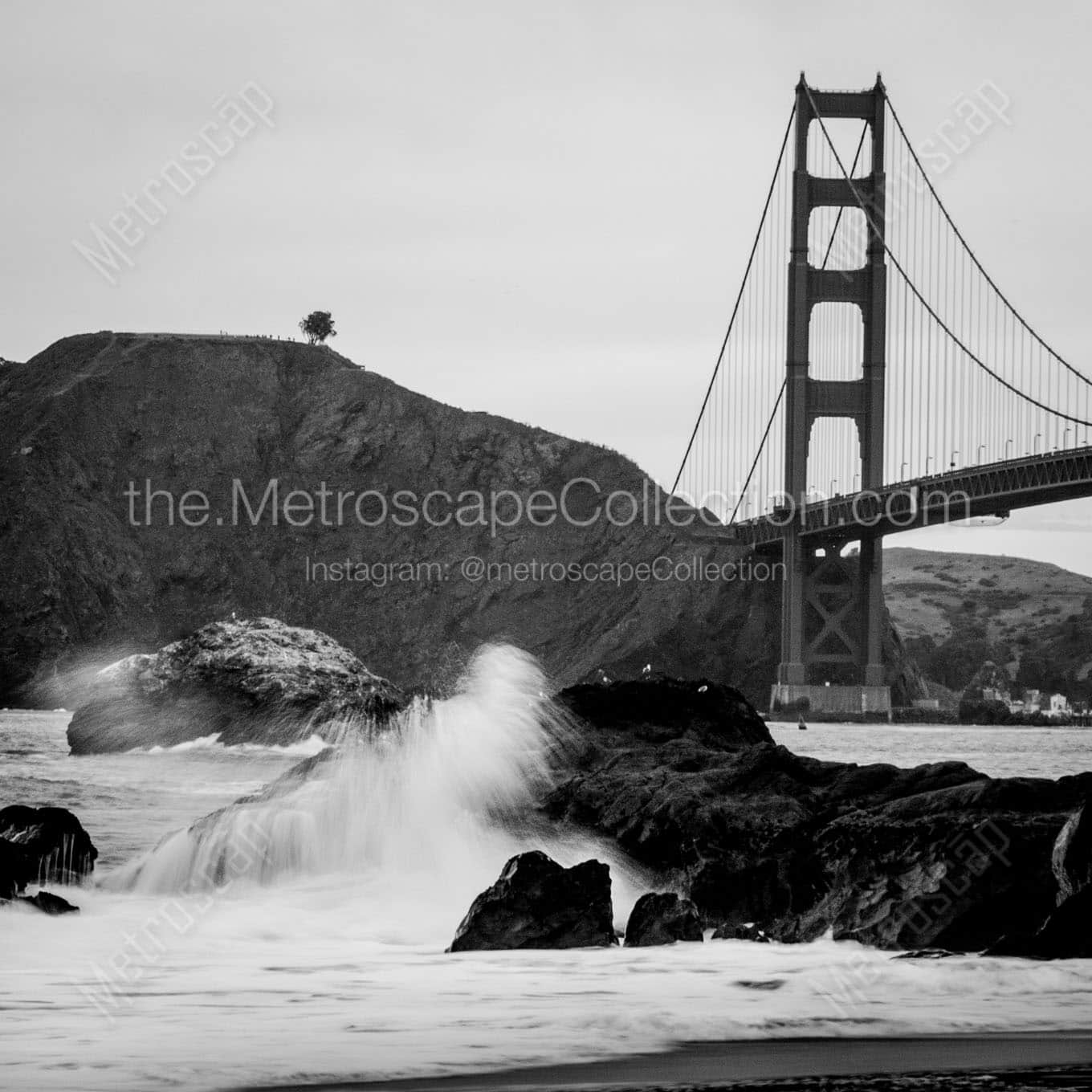 lone tree overlooks golden gate bridge Black & White Wall Art