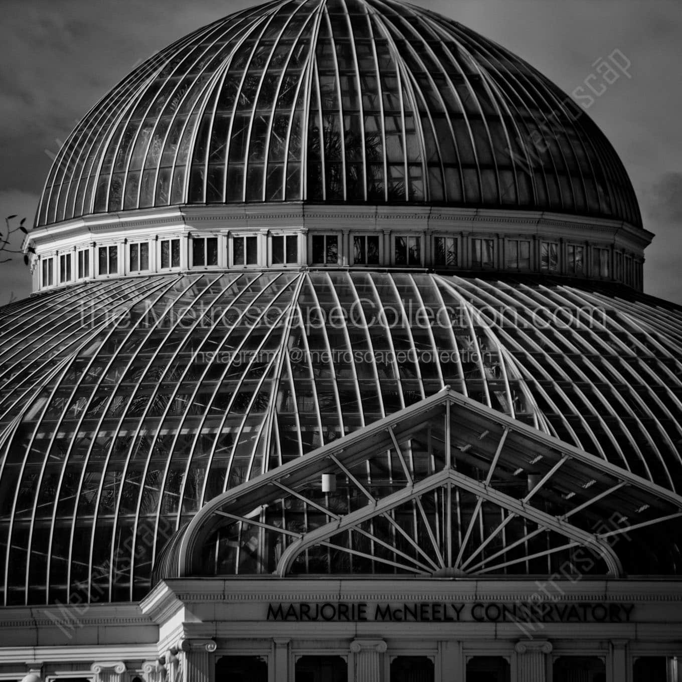 marjorie mcneely conservatory Black & White Wall Art