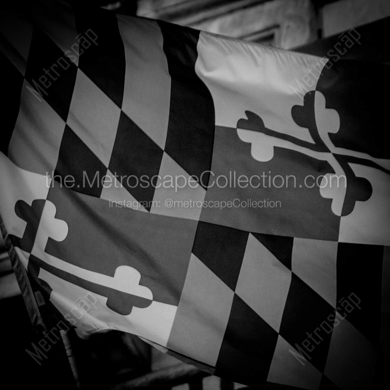 maryland flag baltimore city hall Black & White Wall Art
