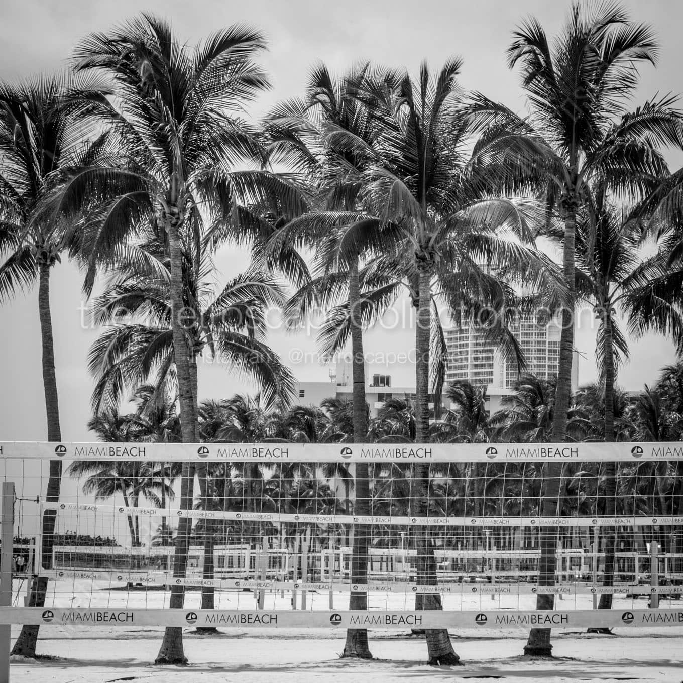 miami beach volleyball nets Black & White Wall Art