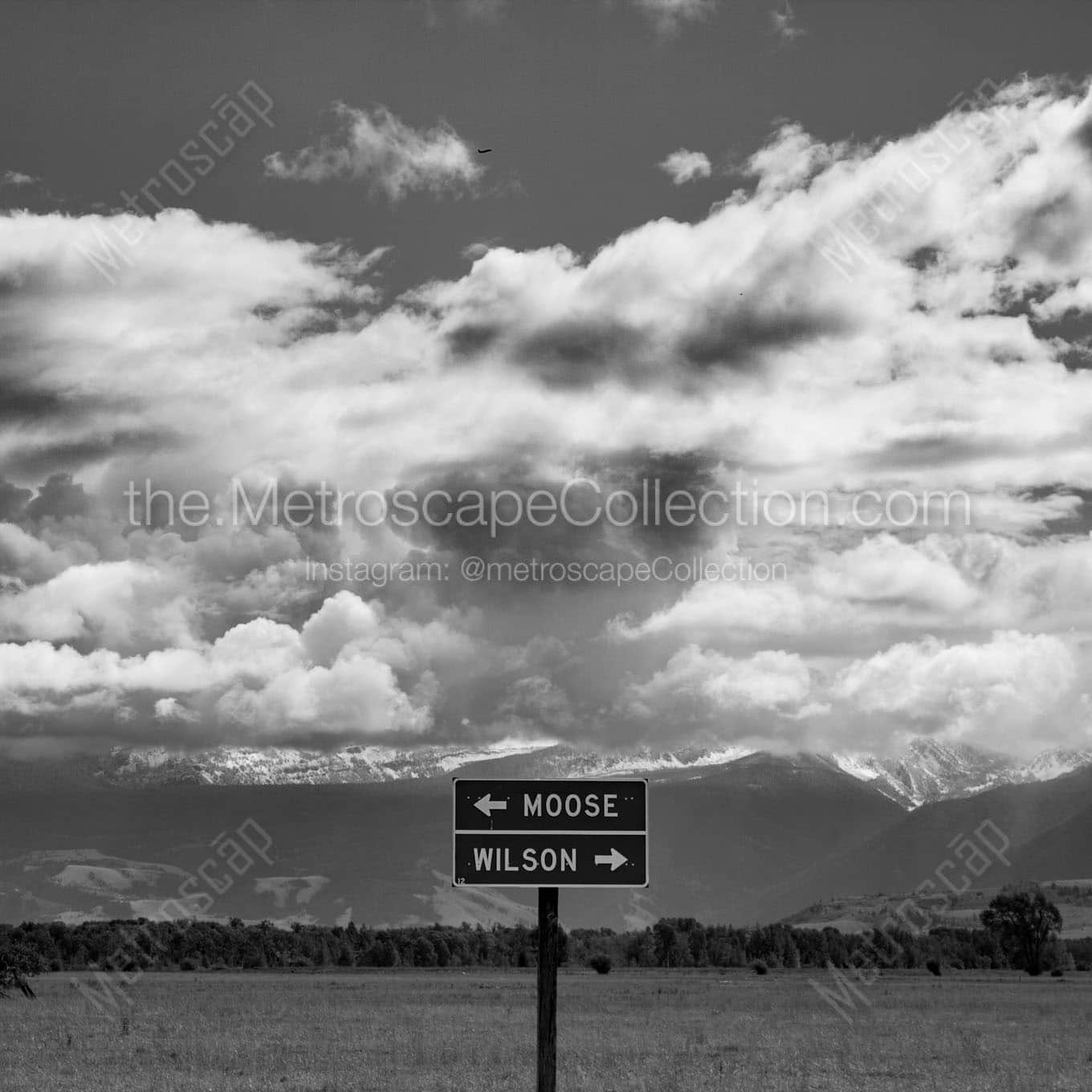 moose wyoming sign Black & White Wall Art