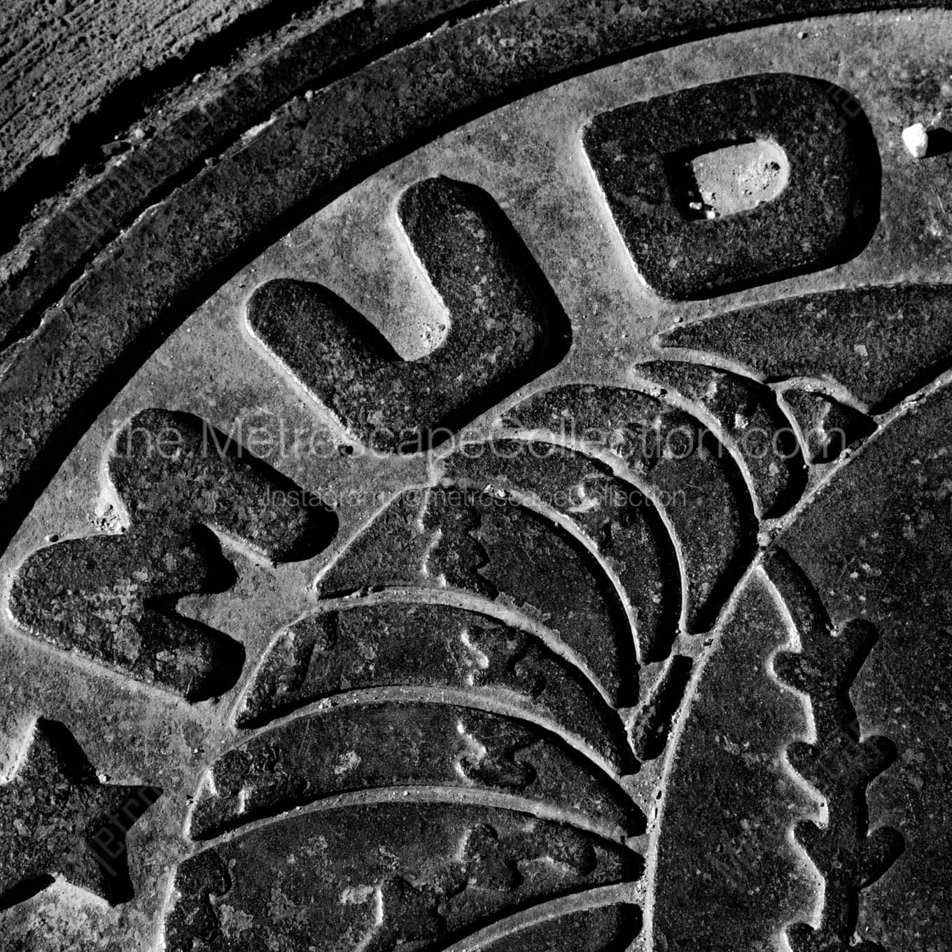 mudhens manhole cover Black & White Wall Art