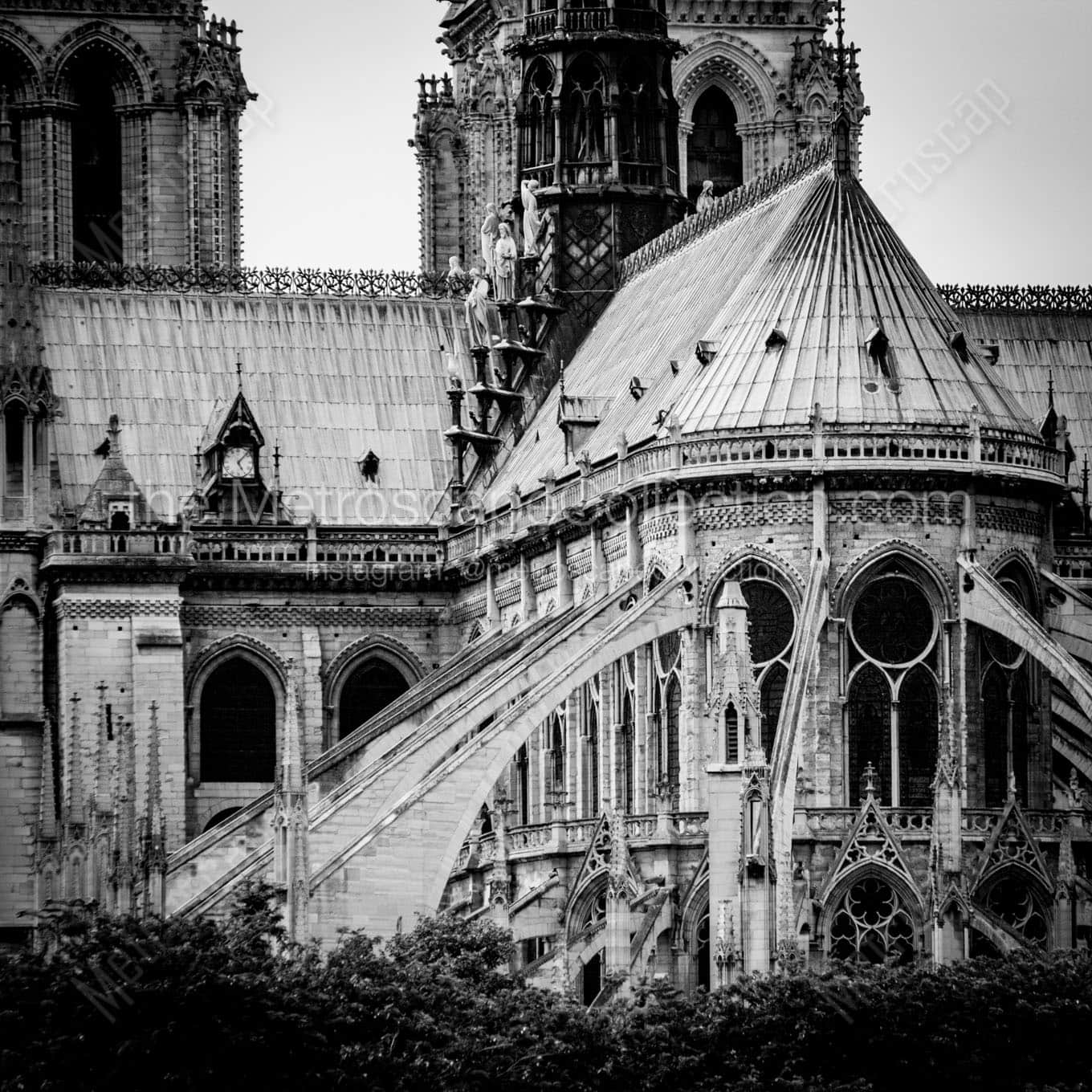 notre dame de paris Black & White Wall Art