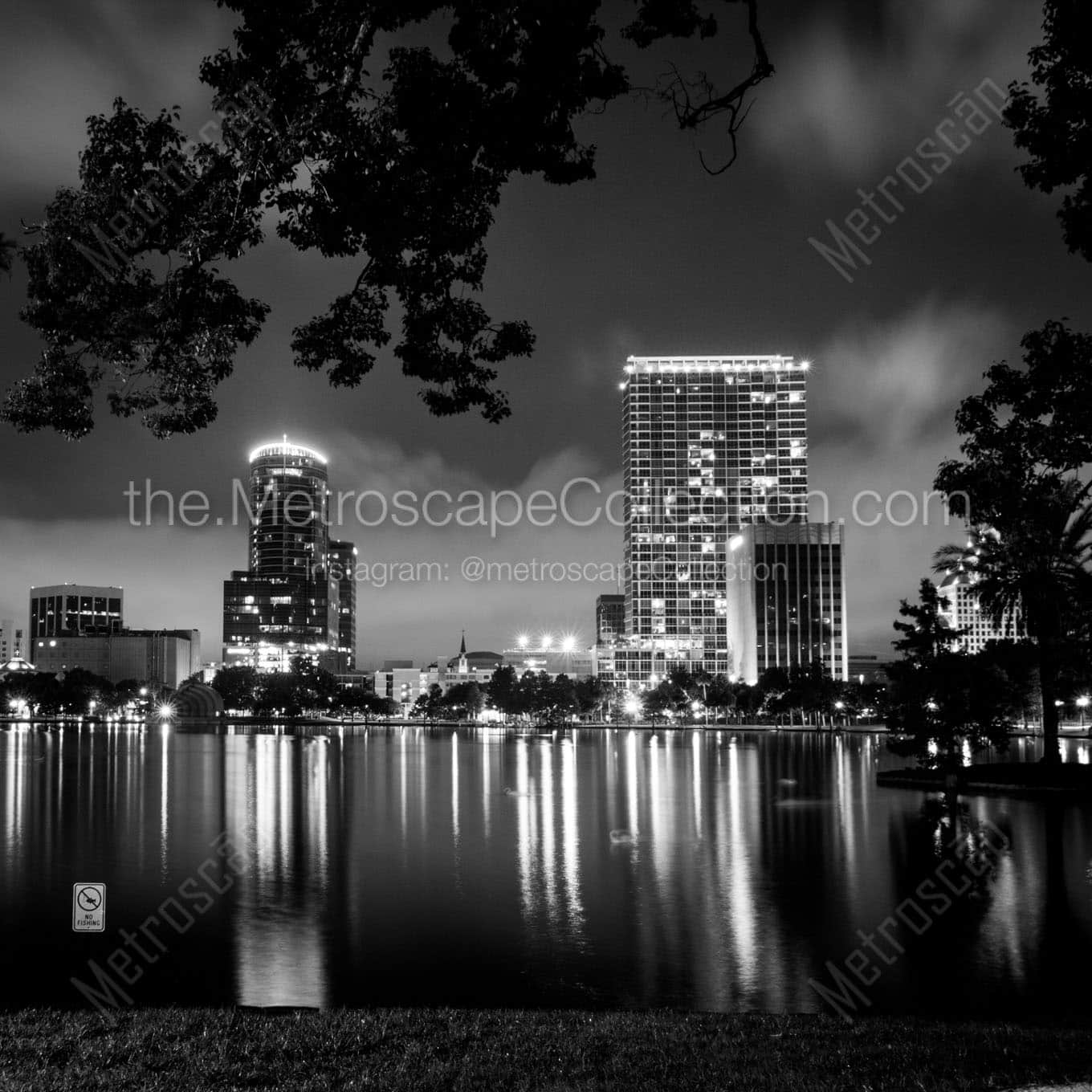 orlando skyline at night Black & White Wall Art