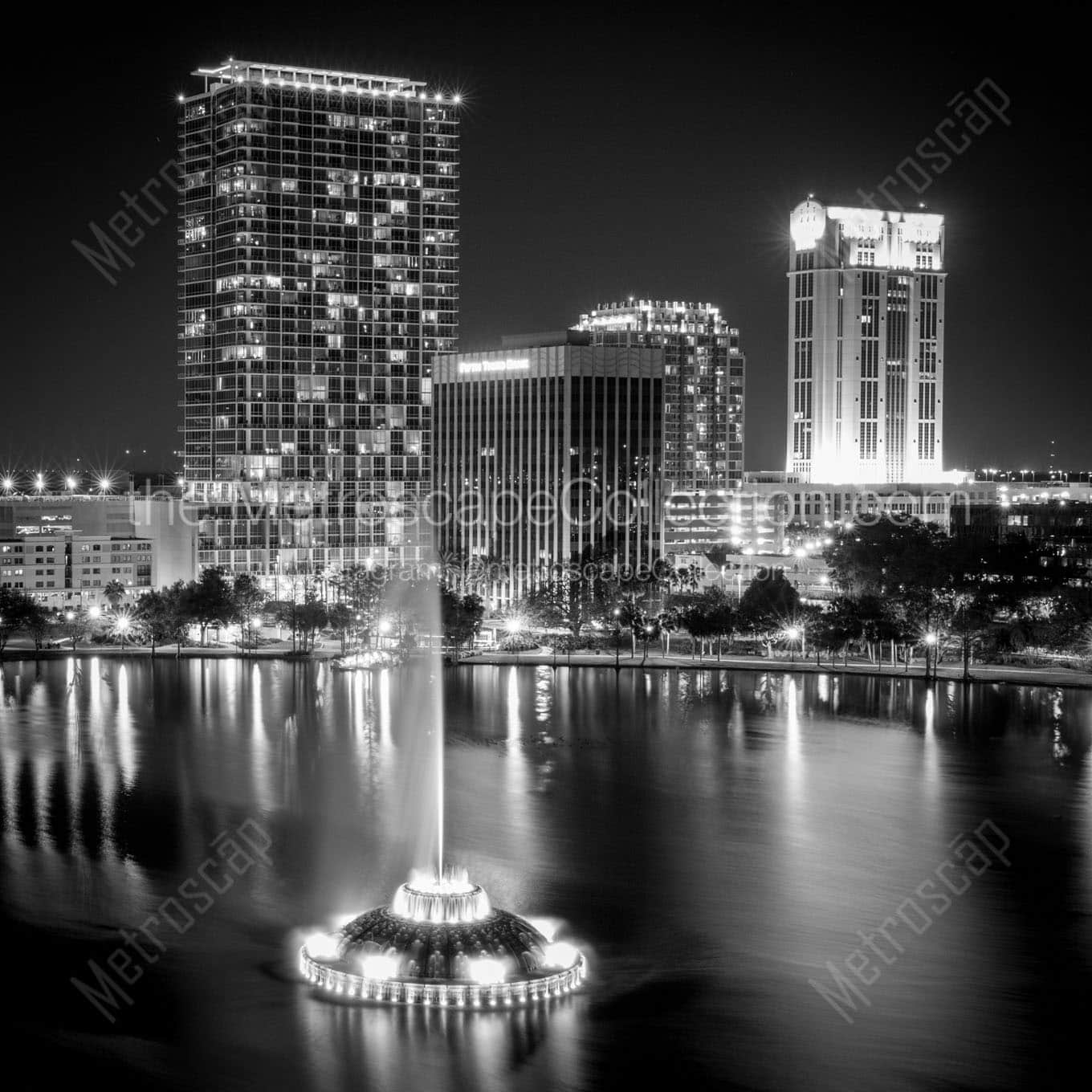 orlando skyline at night Black & White Wall Art